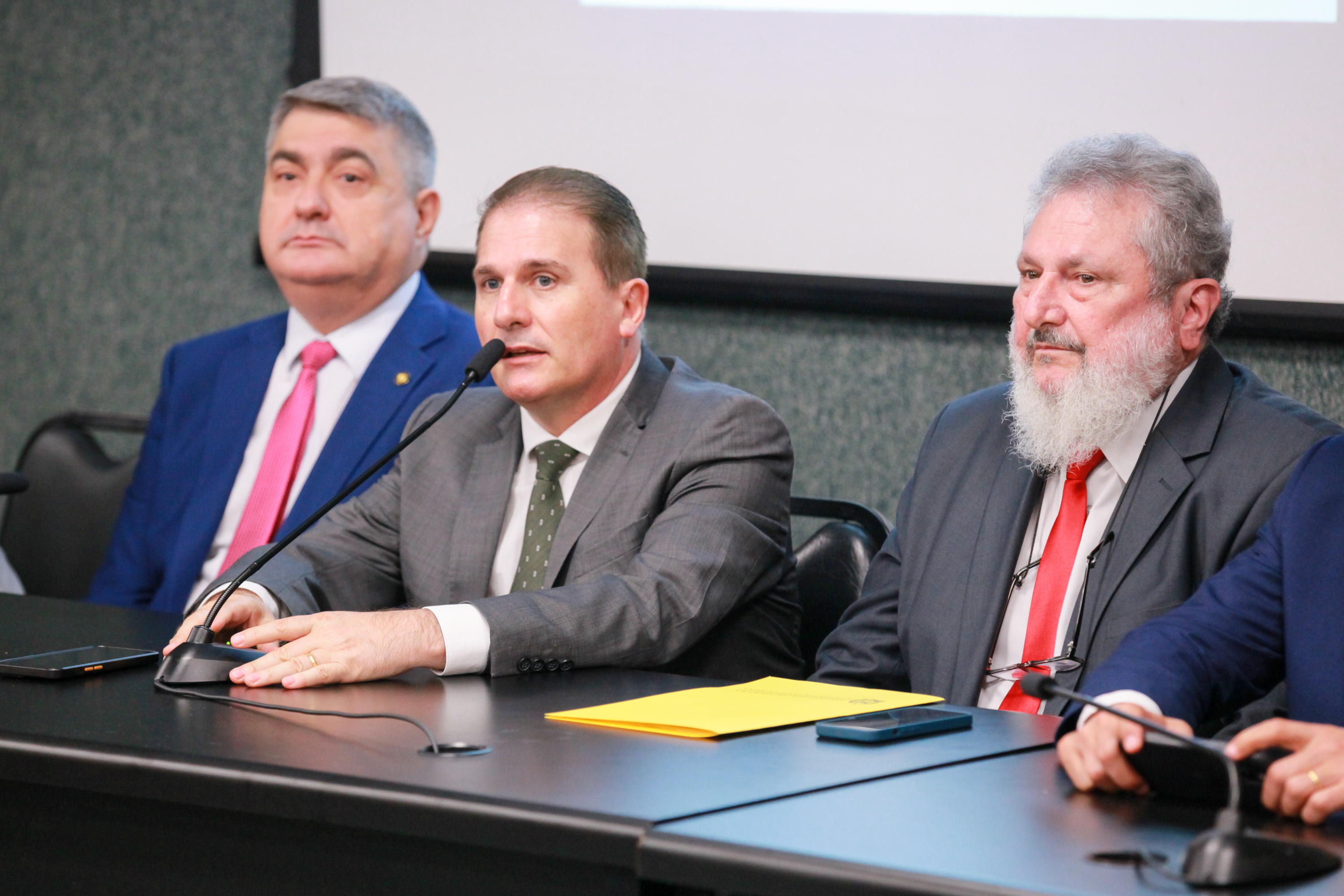 - Deputado Antídio Lunelli (MDB) 	
 - Deputado Altair Silva (PP) 	
 - Deputado Padre Pedro Baldissera (PT)