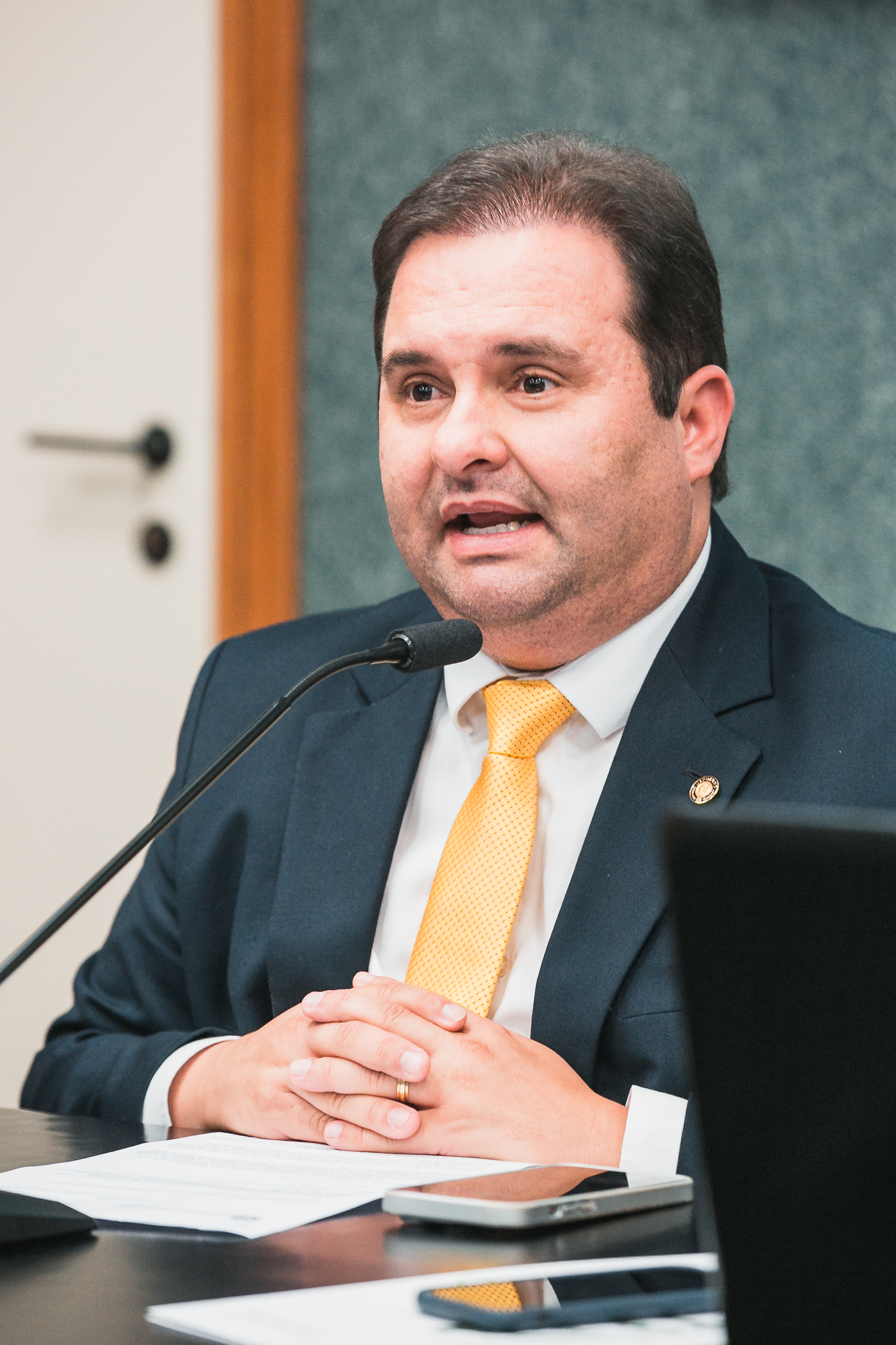- Deputado Repórter Sérgio Guimarães(União)