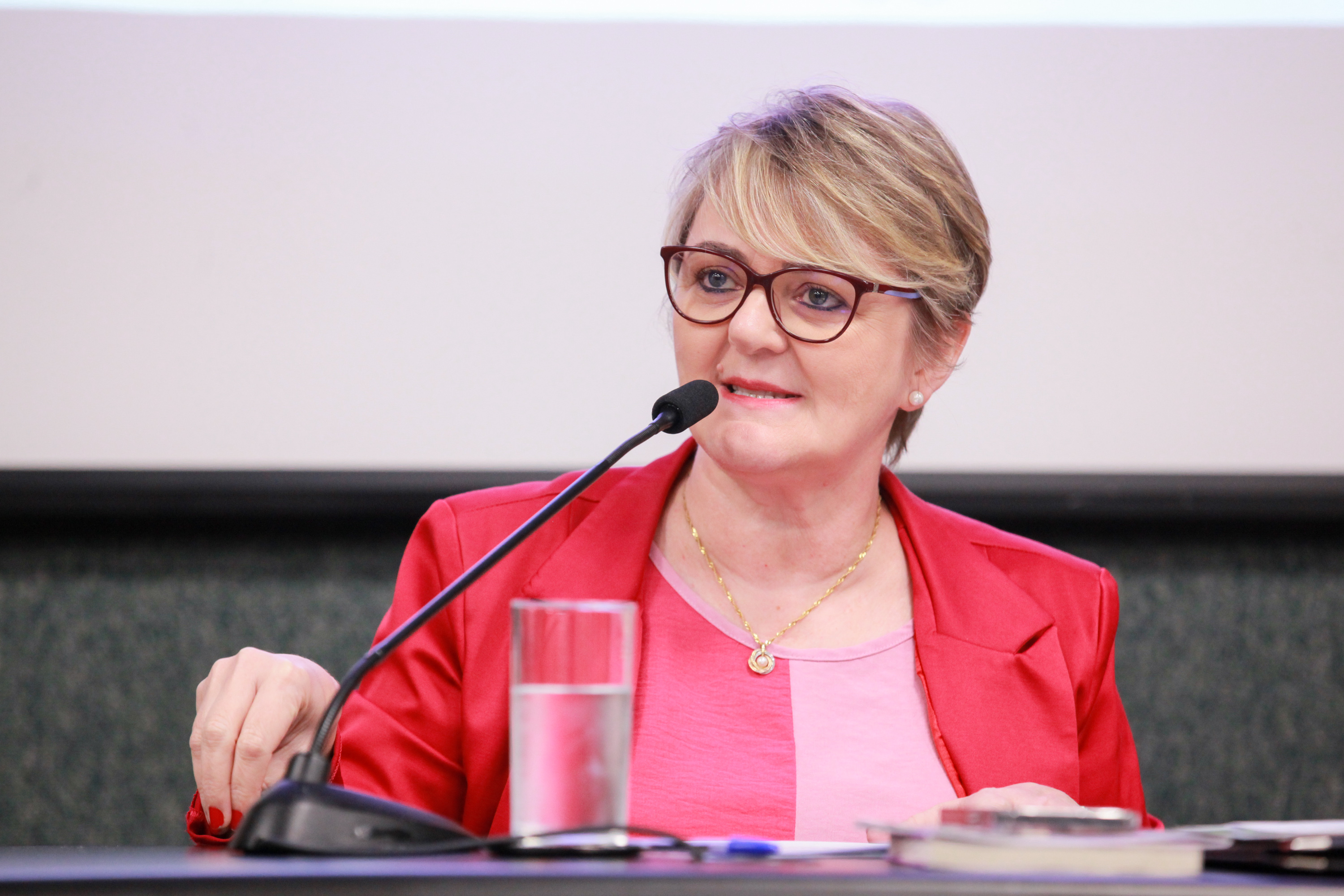 - Deputada Luciane Carminatti (PT)