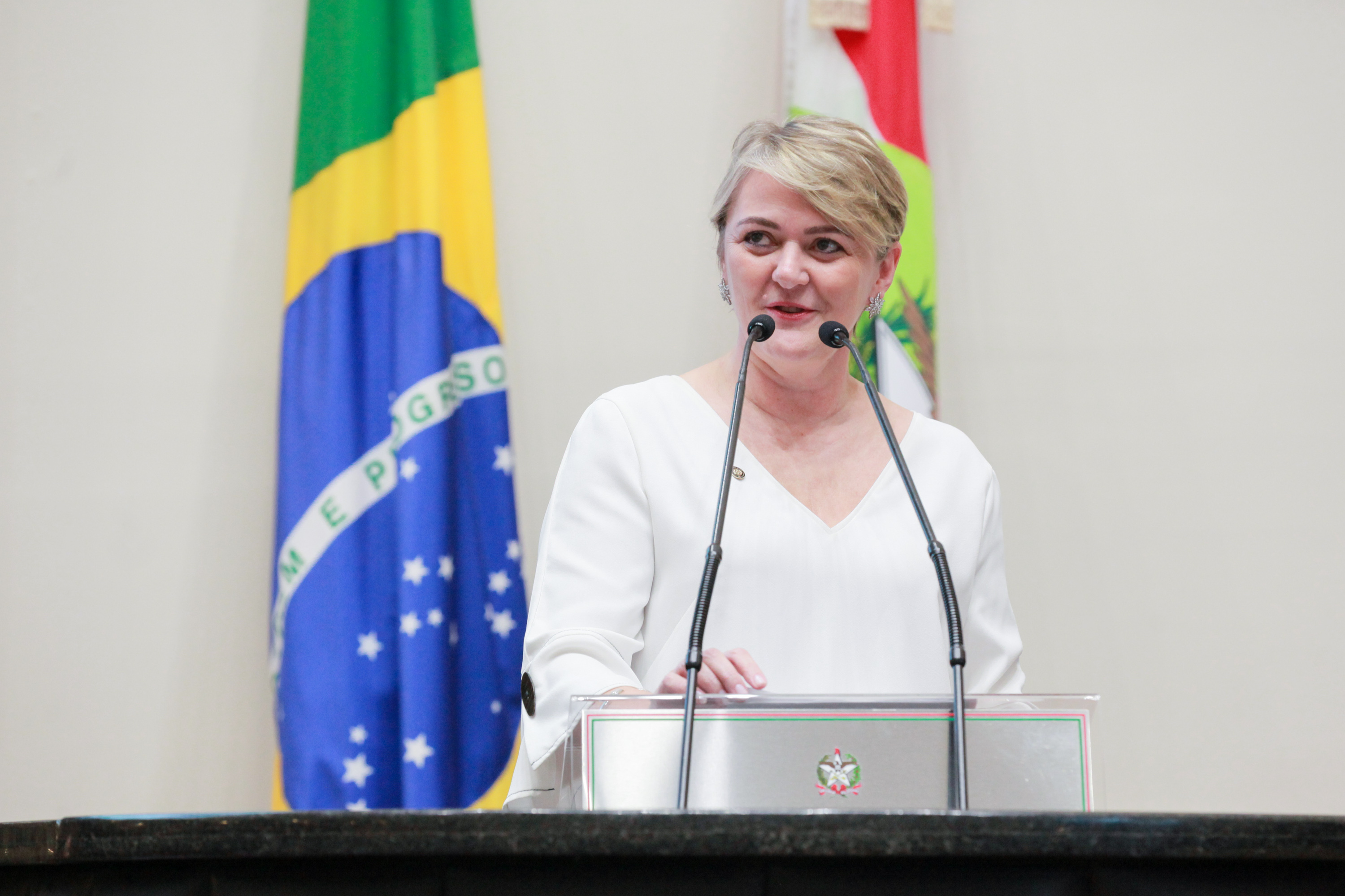 - Deputada Luciane Carminatti (PT)