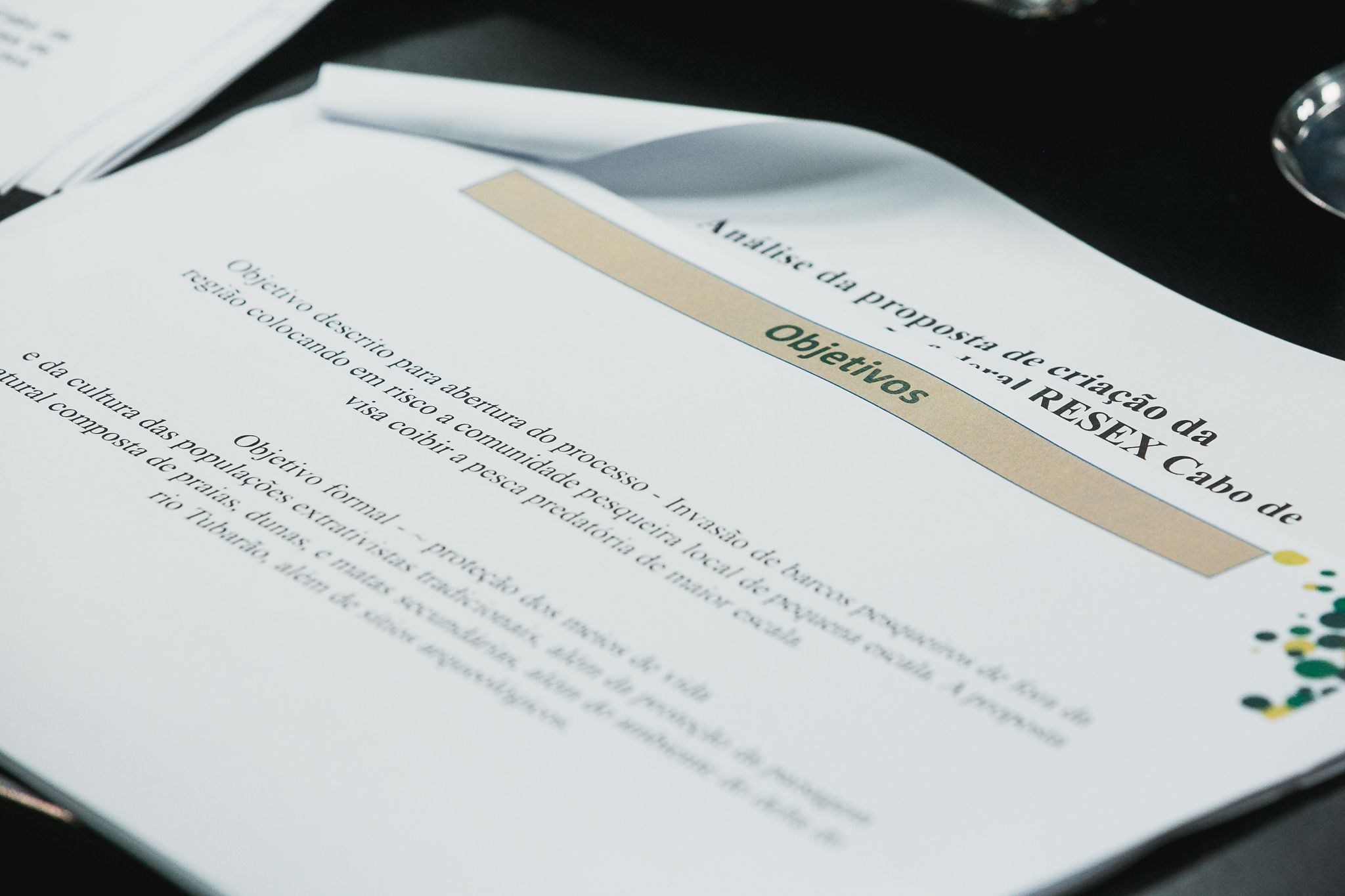 Comissão Mista constituída pelo Ato da Presidência Nº 128-DL, de 2023 (RESEX)