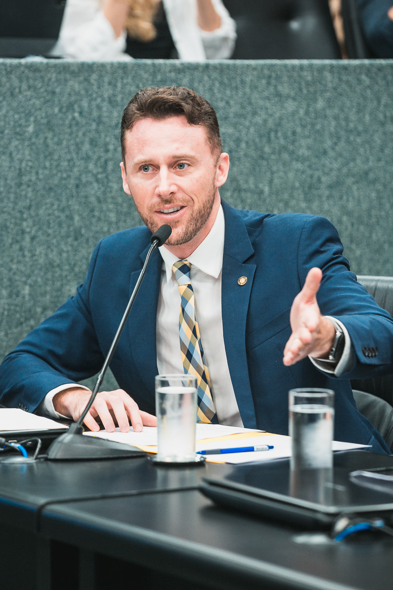 - Deputado Fernando Krelling (MDB)