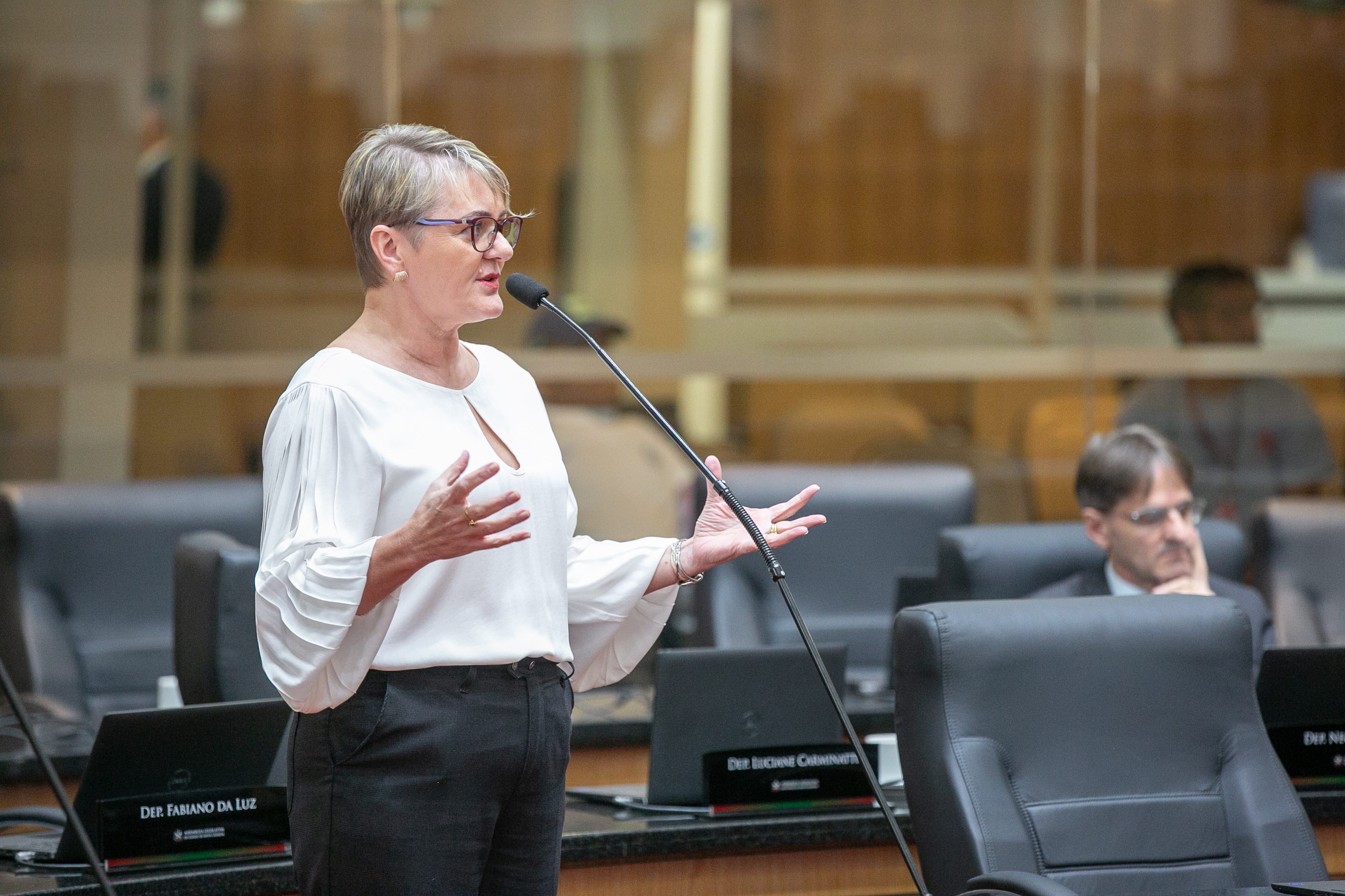 - Deputada Luciane Carminatti (PT)