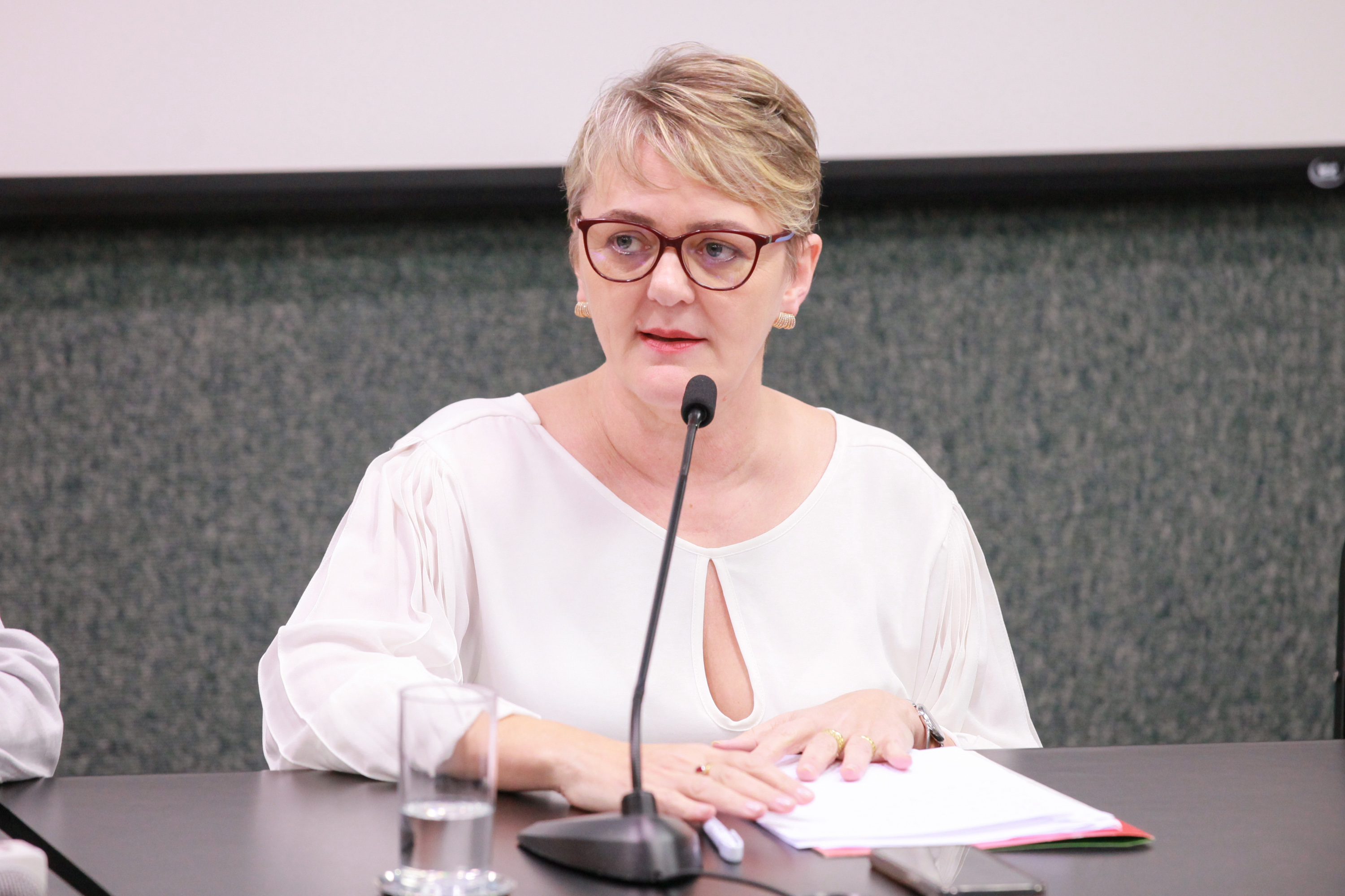 - Deputada Luciane Carminatti (PT)