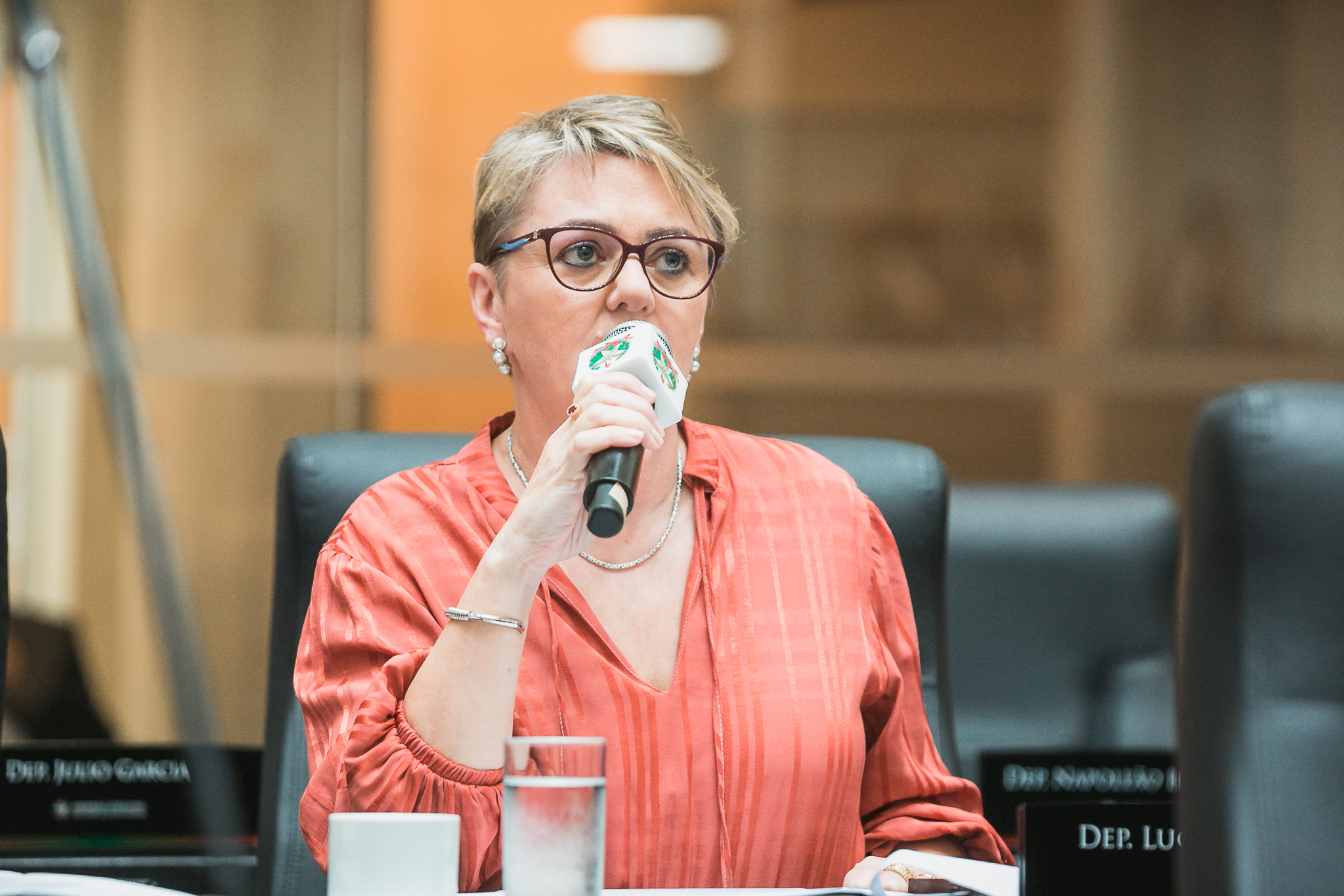 - Deputada Luciane Carminatti (PT)