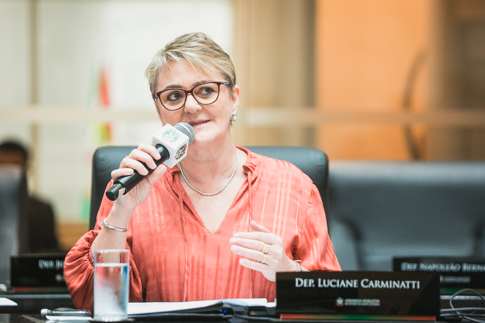 - Deputada Luciane Carminatti (PT)