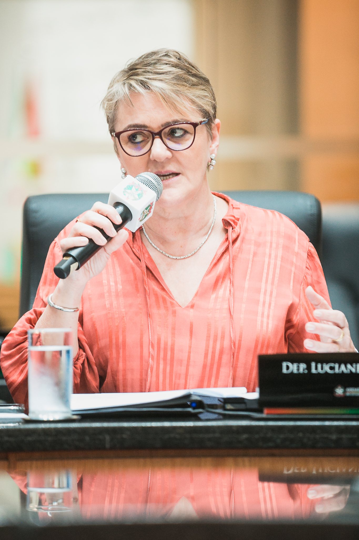 - Deputada Luciane Carminatti (PT)