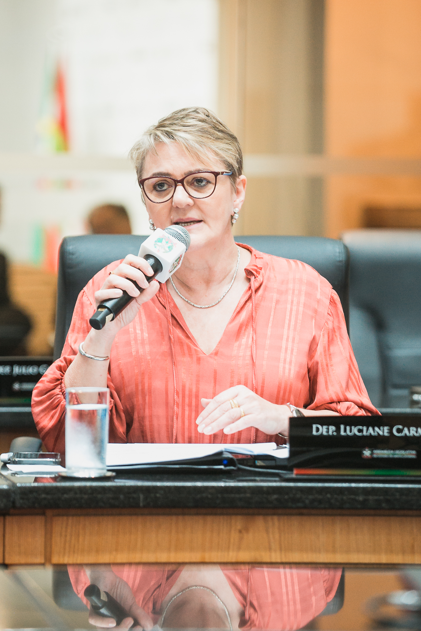 - Deputada Luciane Carminatti (PT)