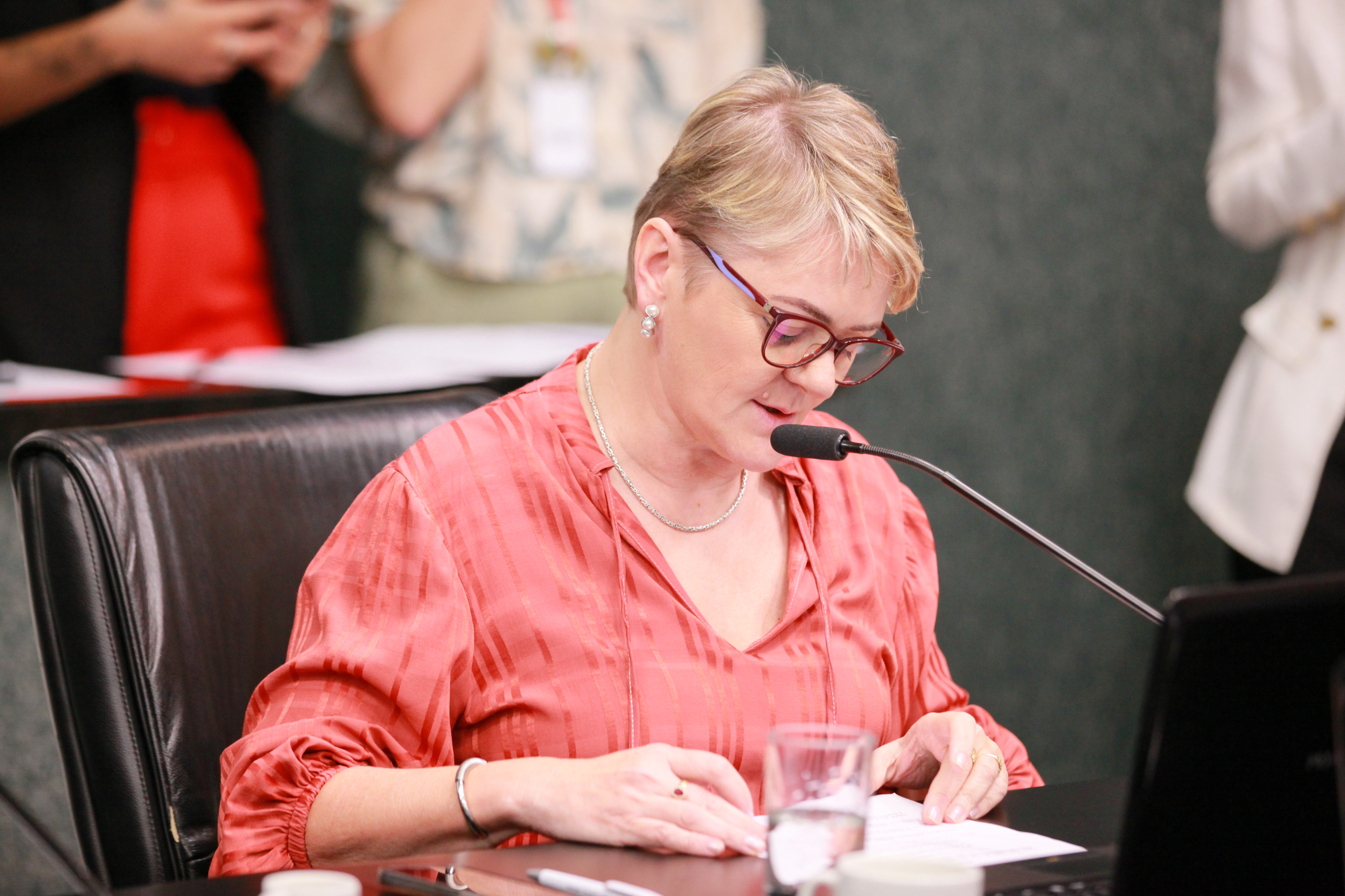 - Deputada Luciane Carminatti (PT)