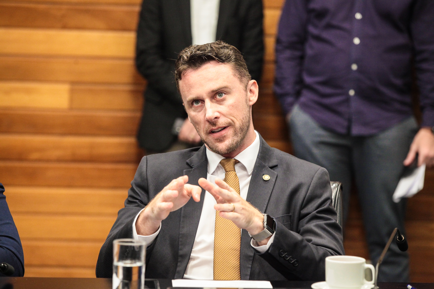 - Deputado Fernando Krelling (MDB)
