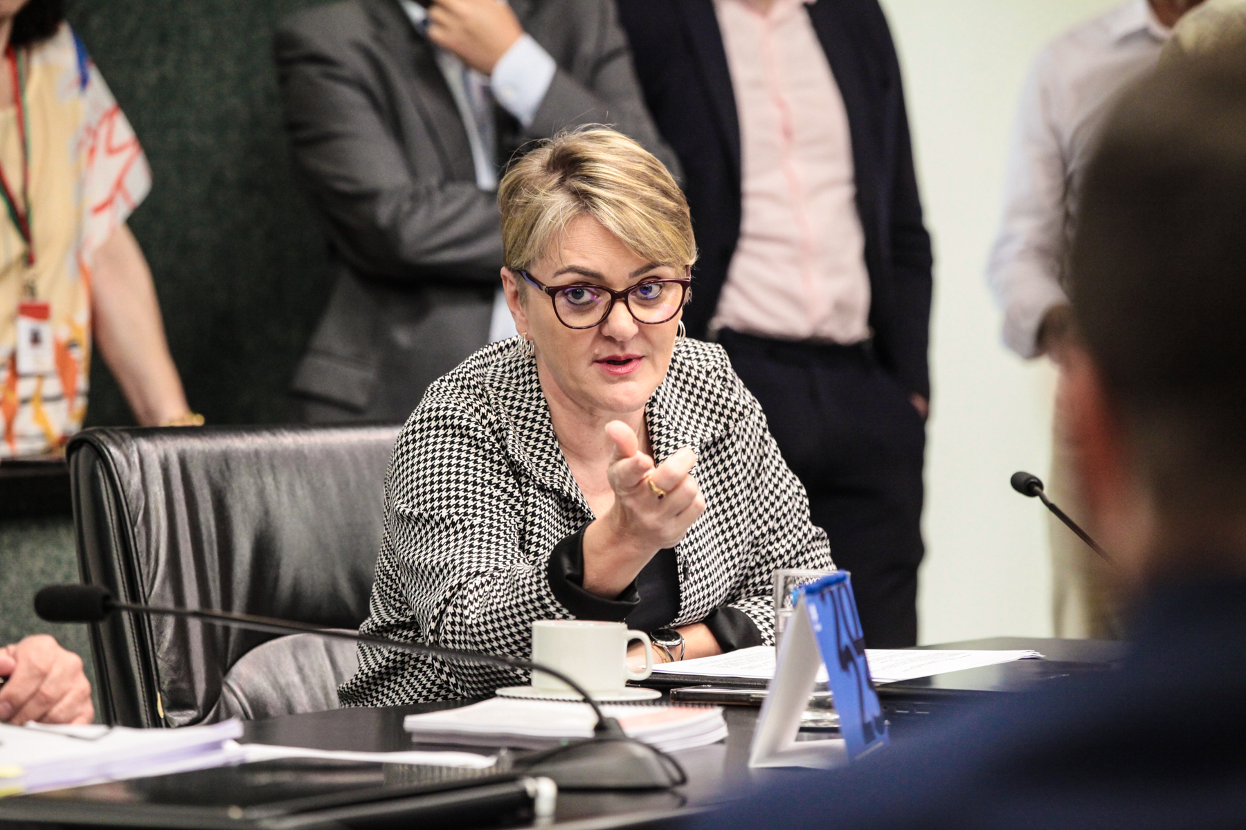 - Deputada Luciane Carminatti (PT)