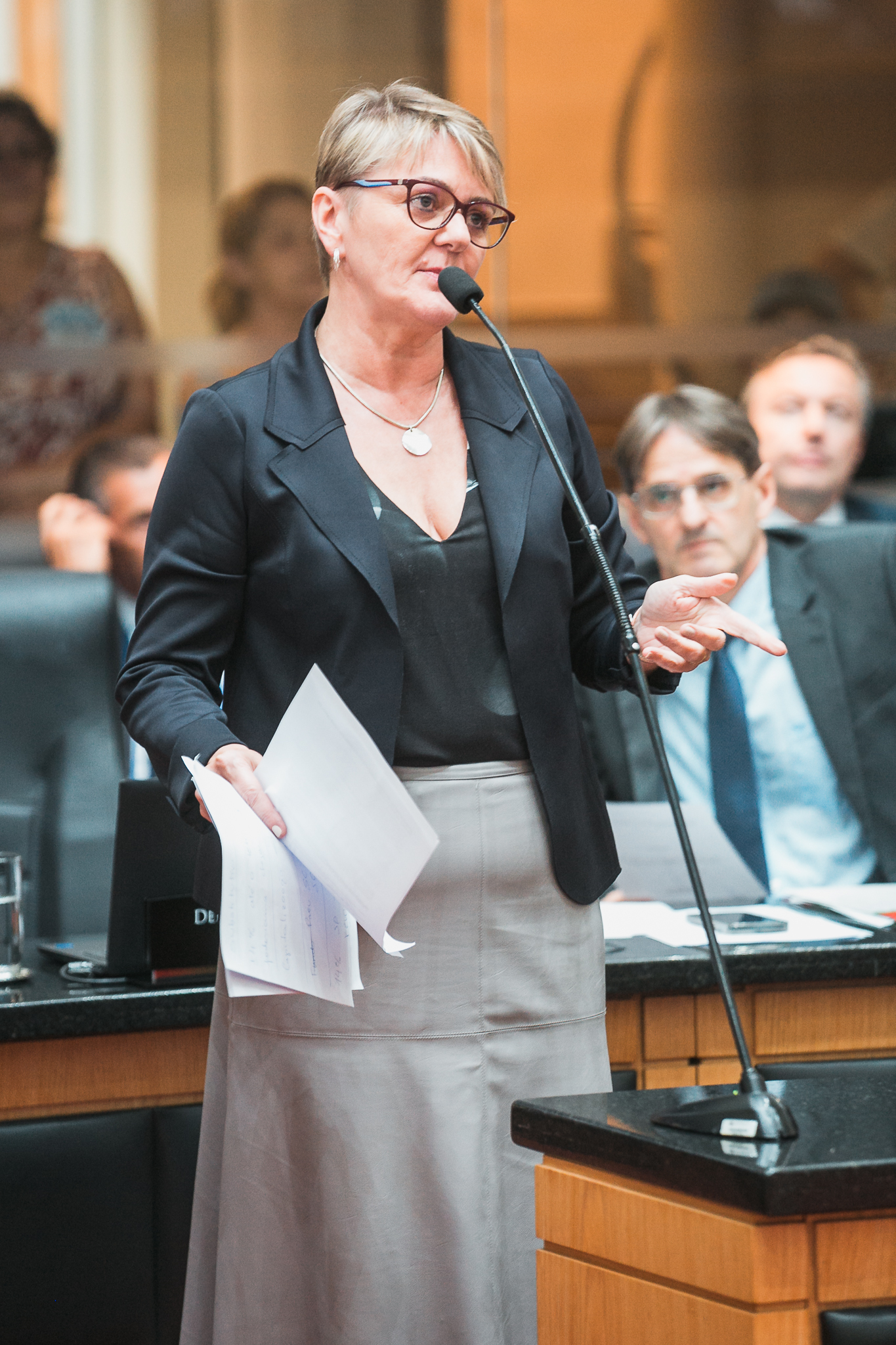 - Deputada Luciane Carminatti (PT)