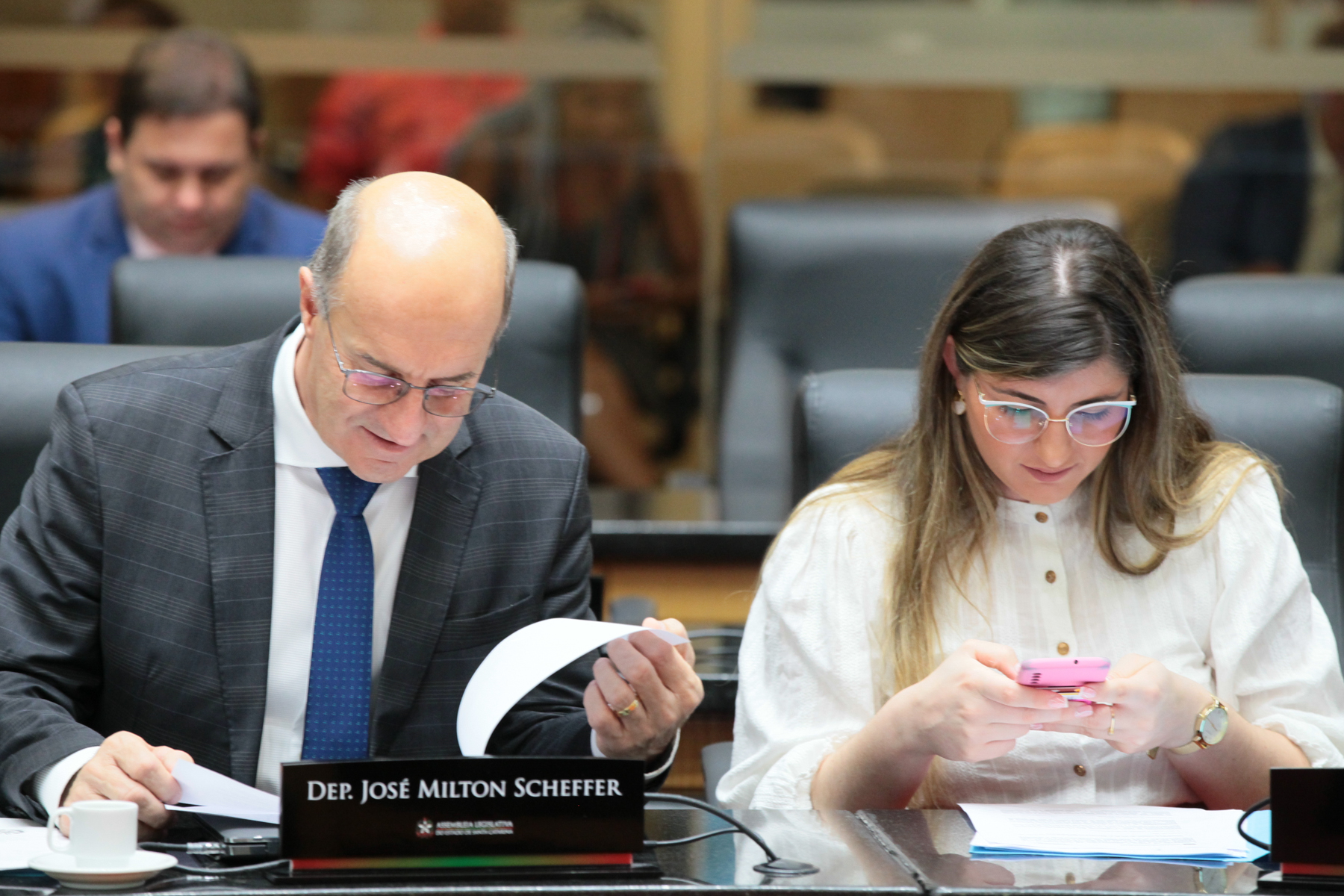 - Deputado José Milton Scheffer (PP)