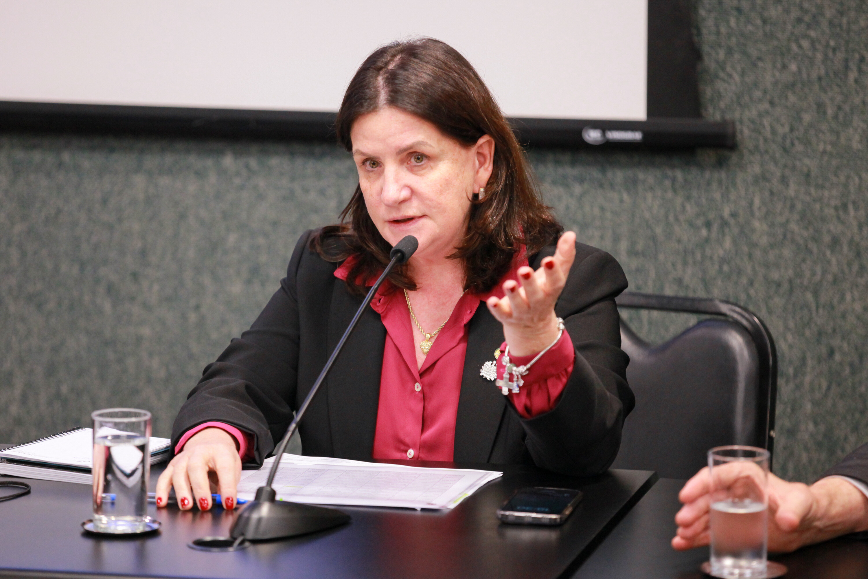 Secretária de Estado da Saúde, Carmen Zanotto