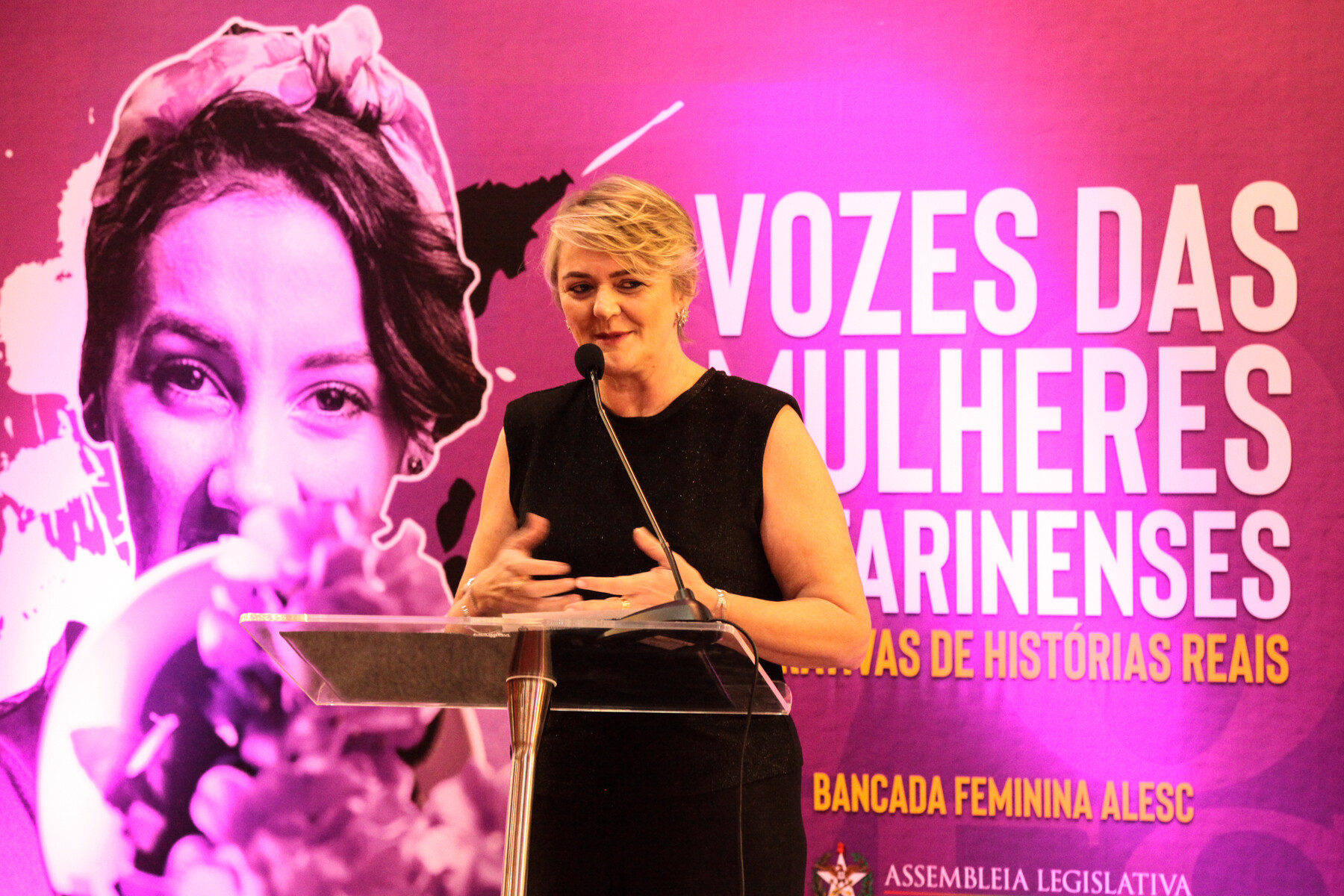 Procuradora da Mulher na Alesc, deputada Luciane Carminatti (PT).