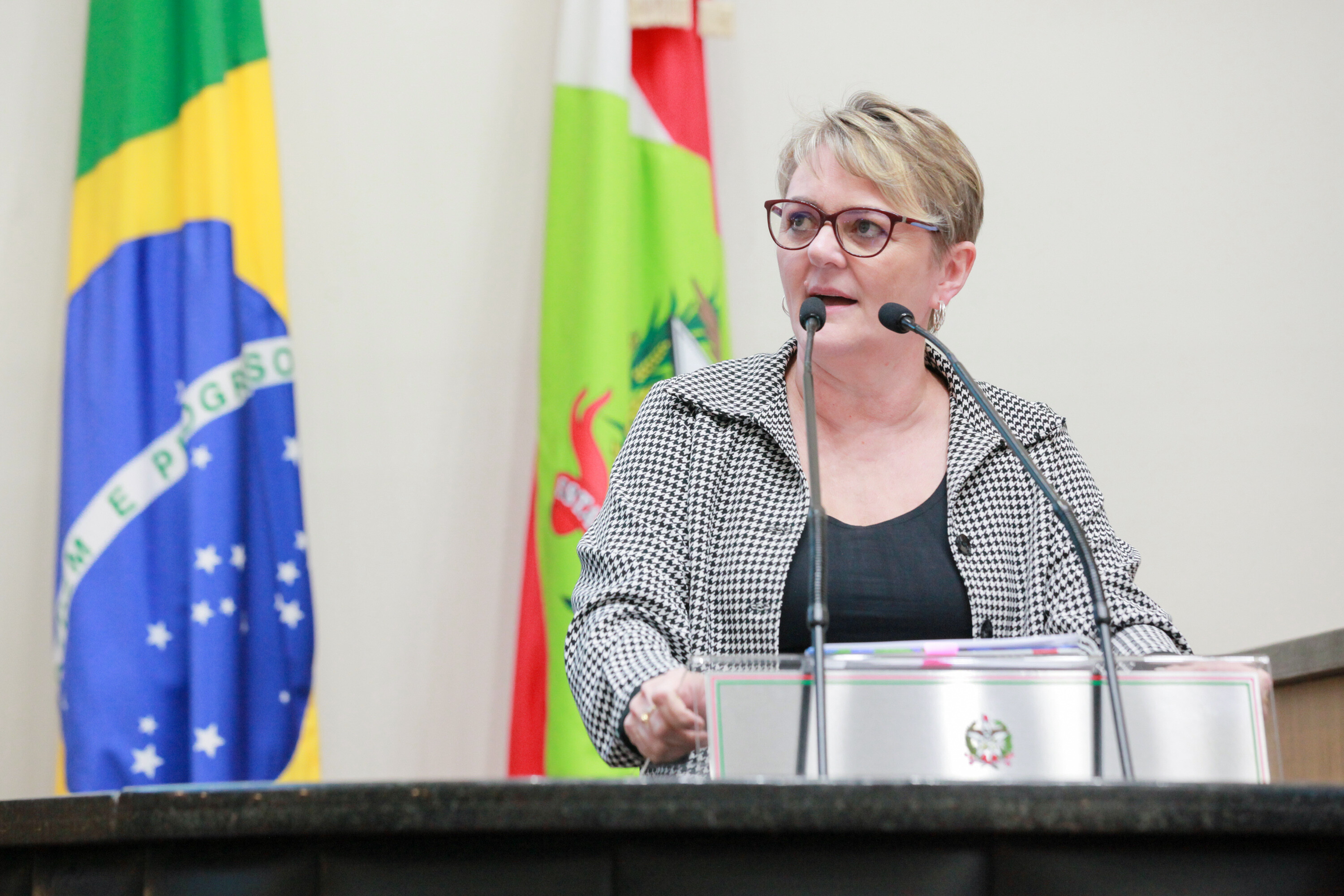 Luciane defende retirar SC Seguro e SC Futuro do projeto do governo sobre a previdência