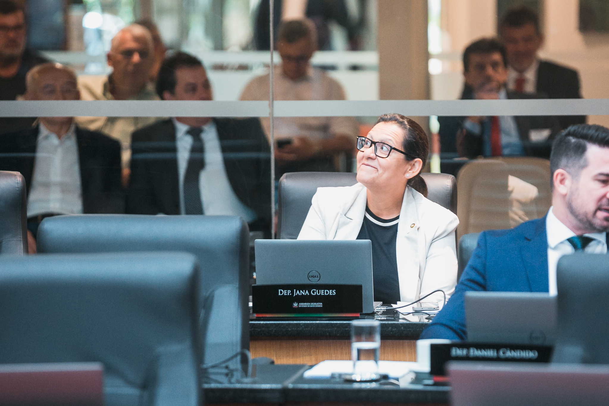 - Deputada Jana Guedes (PDT)