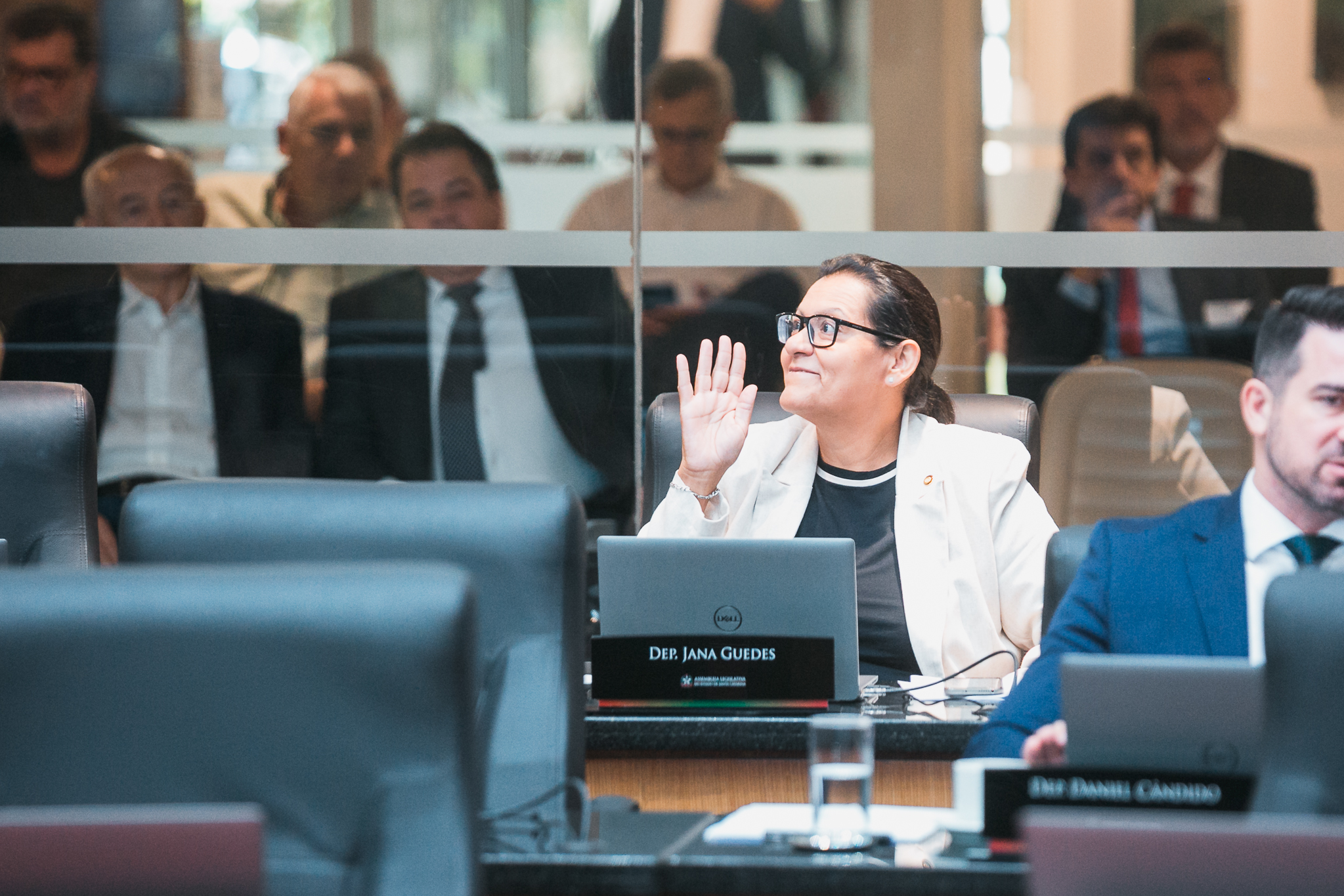 - Deputada Jana Guedes (PDT)