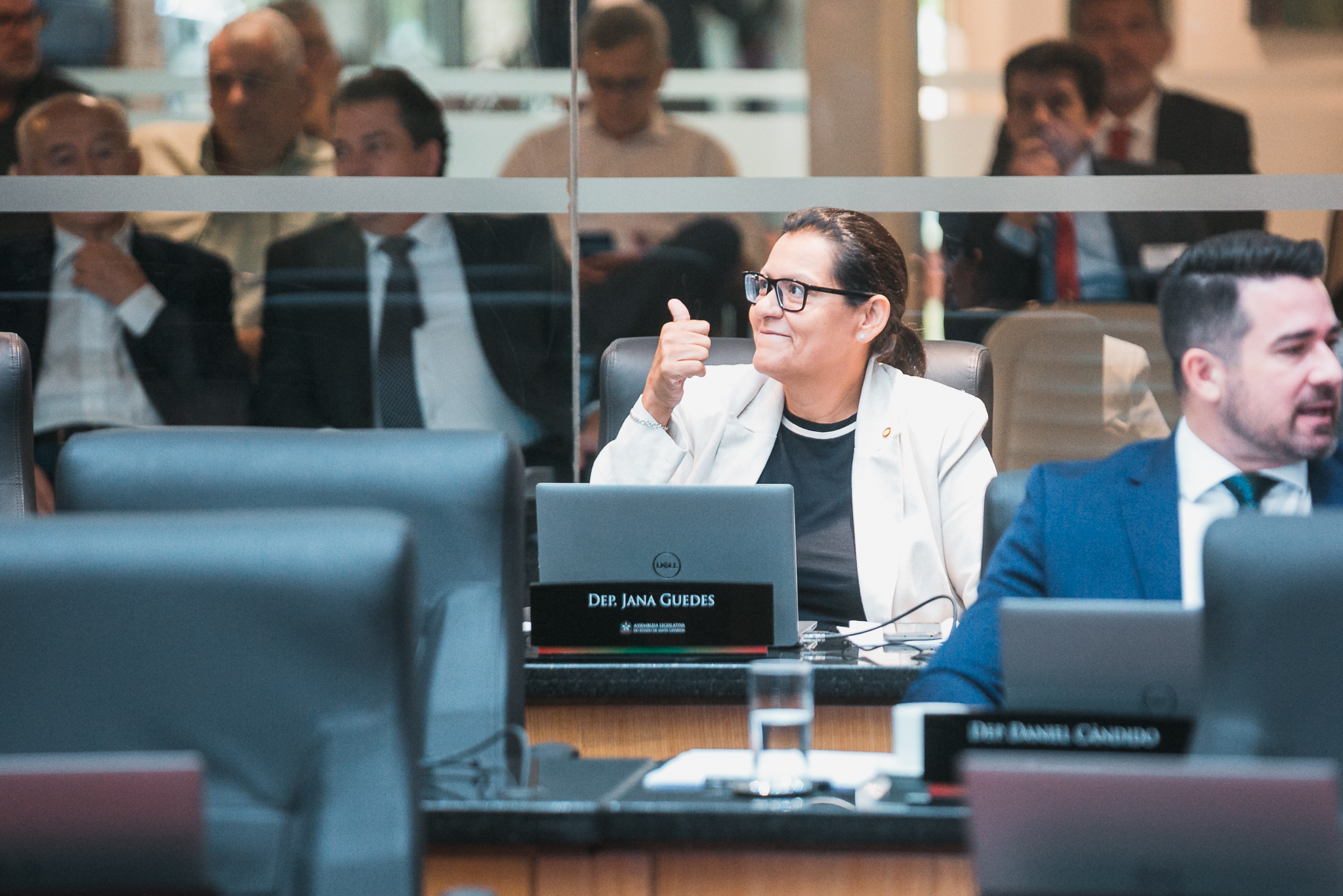 - Deputada Jana Guedes (PDT)