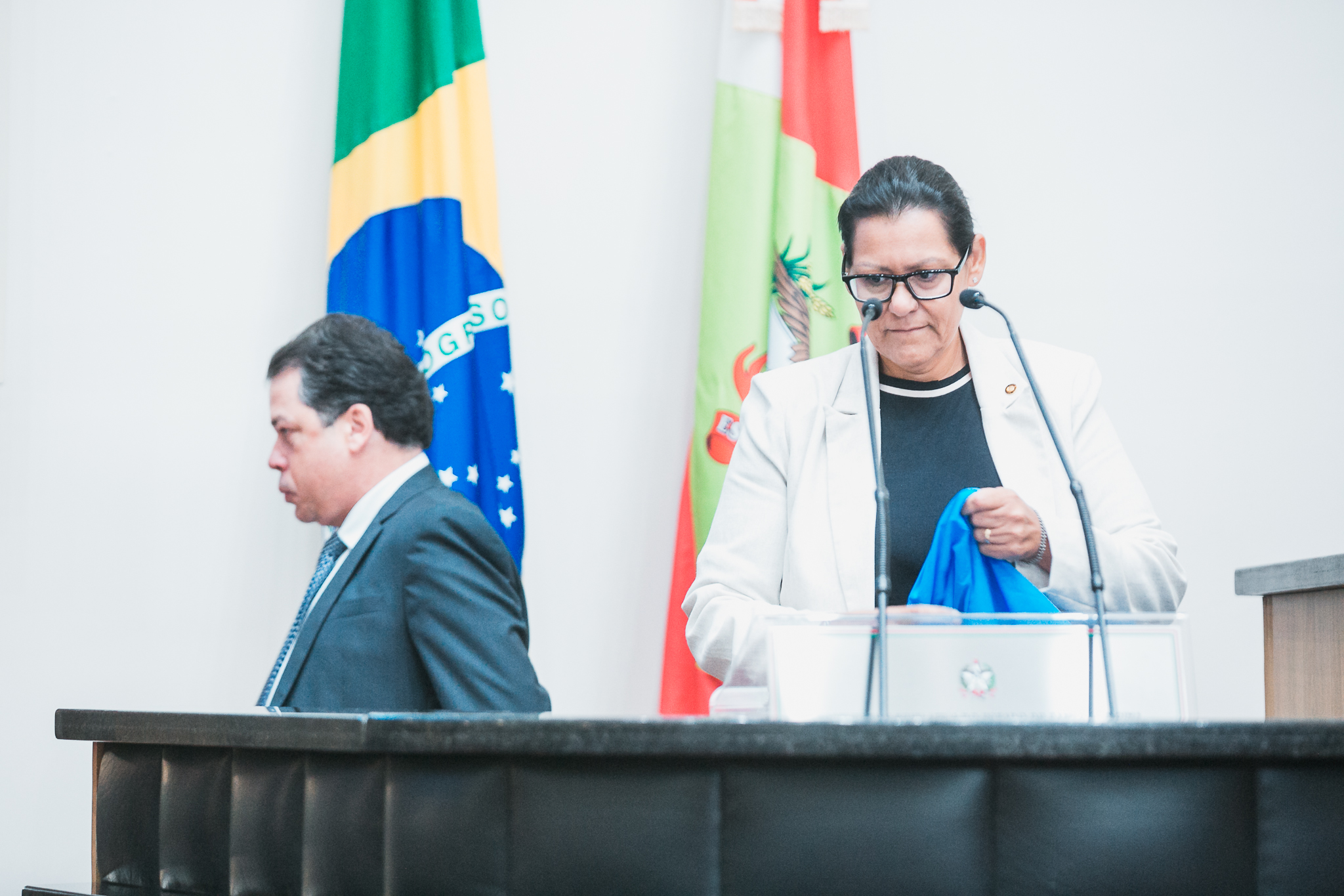 - Deputada Jana Guedes (PDT)