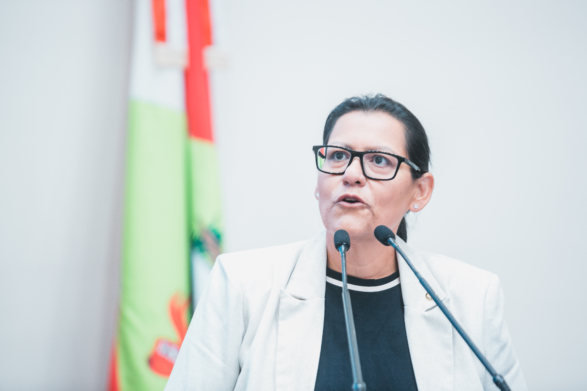- Deputada Jana Guedes (PDT)