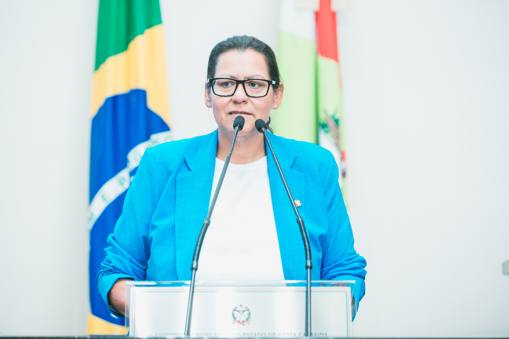 - Deputada Jana Guedes (PDT)