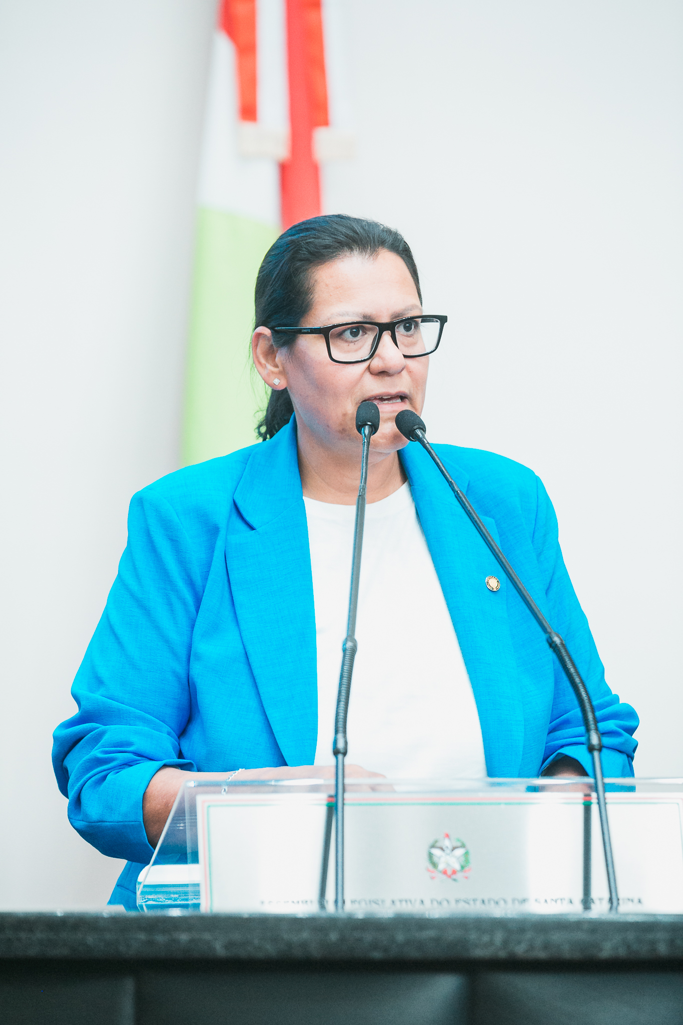 - Deputada Jana Guedes (PDT)