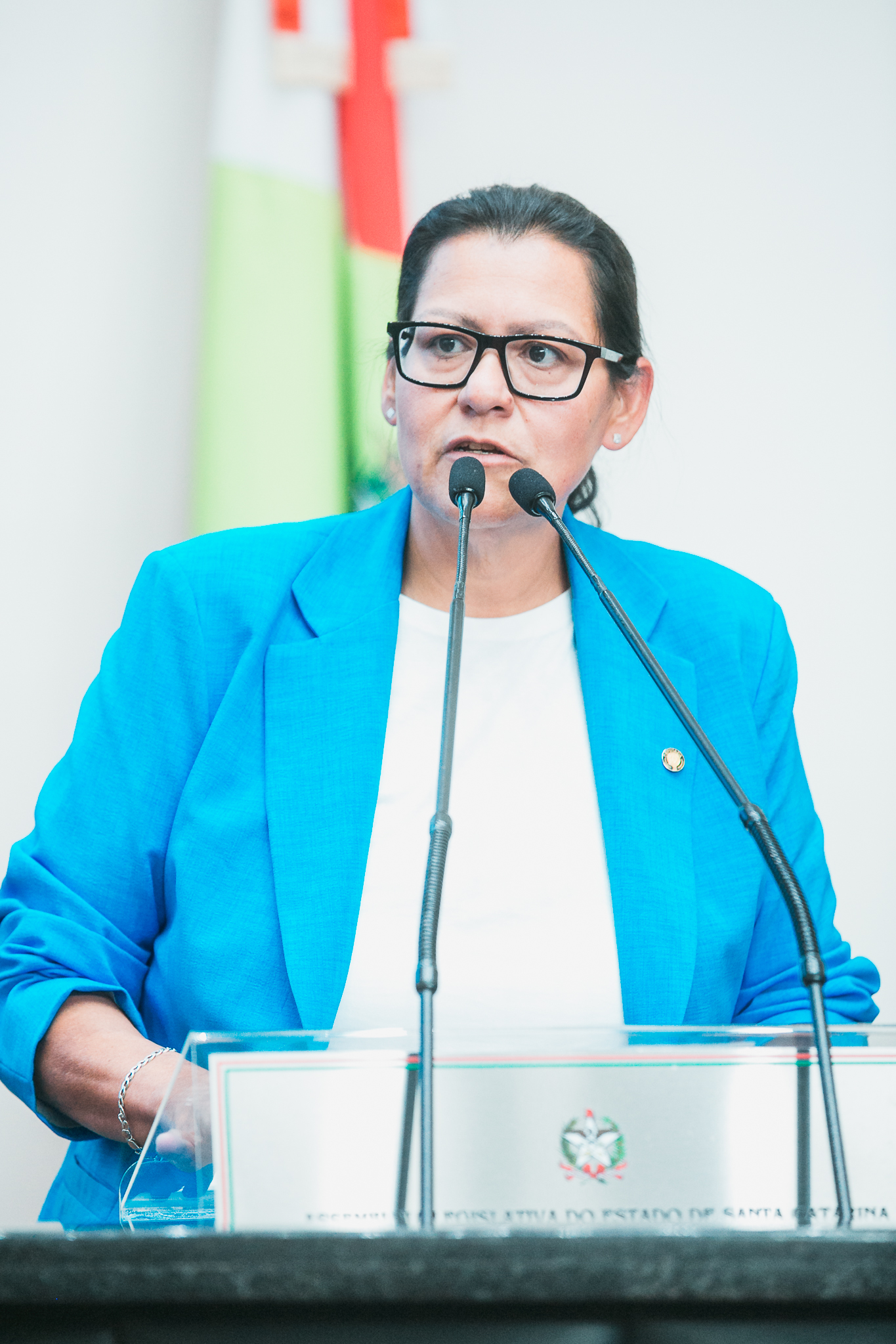 - Deputada Jana Guedes (PDT)