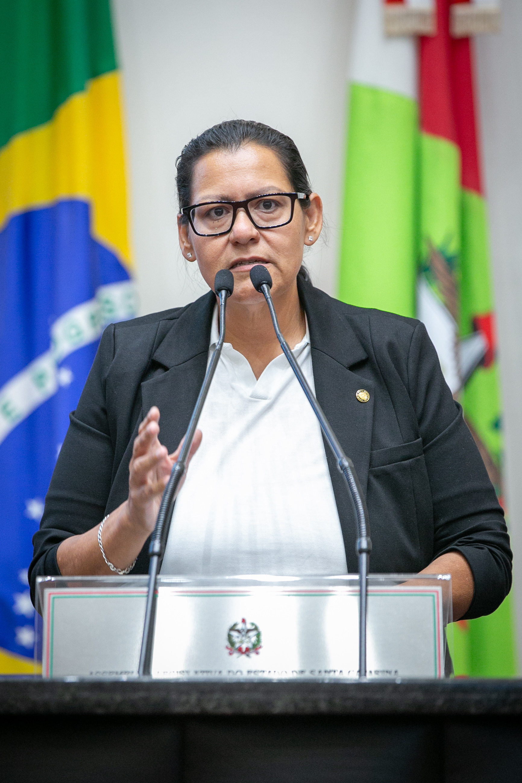 - Deputada Jana Guedes (PDT)