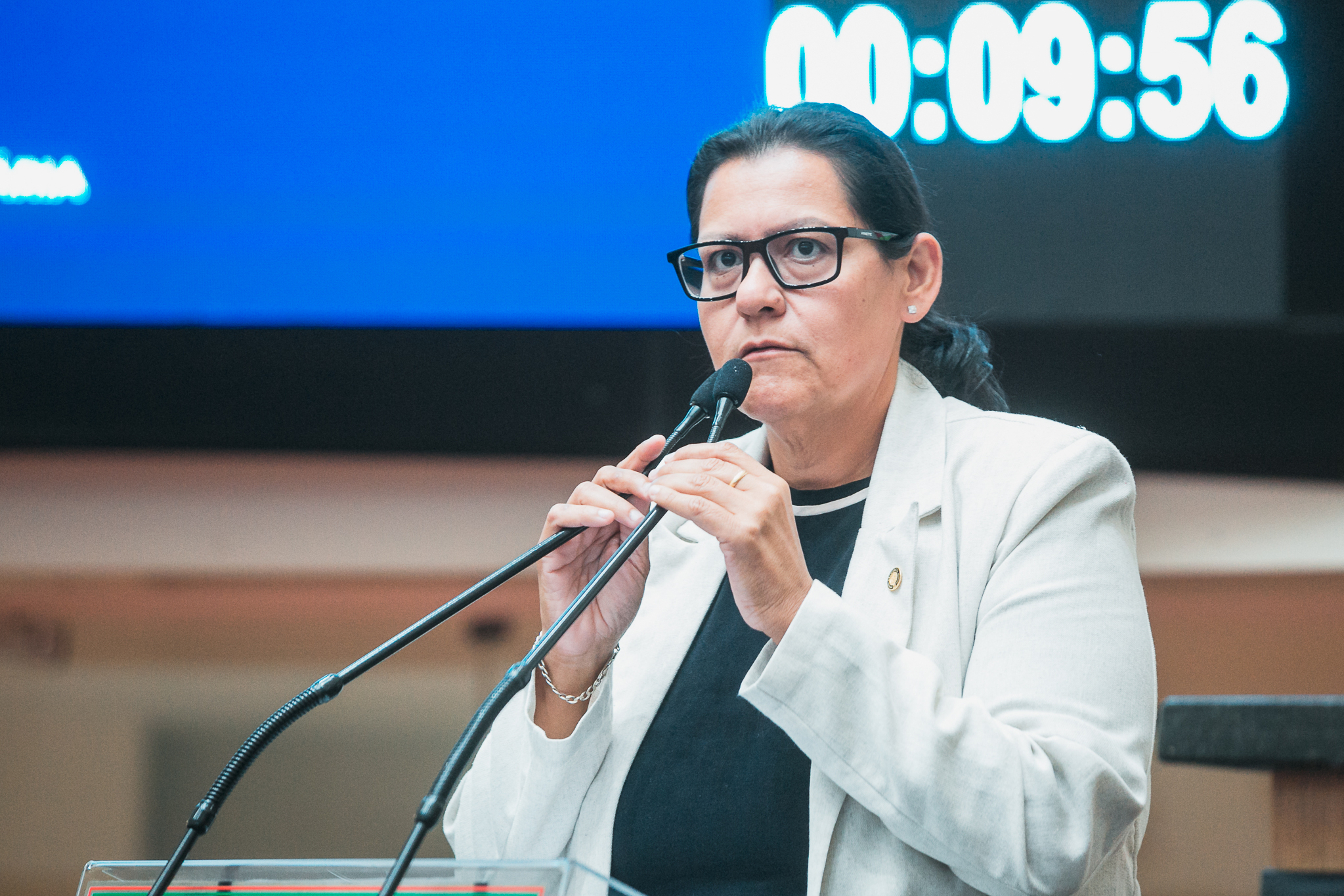 - Deputada Jana Guedes (PDT)