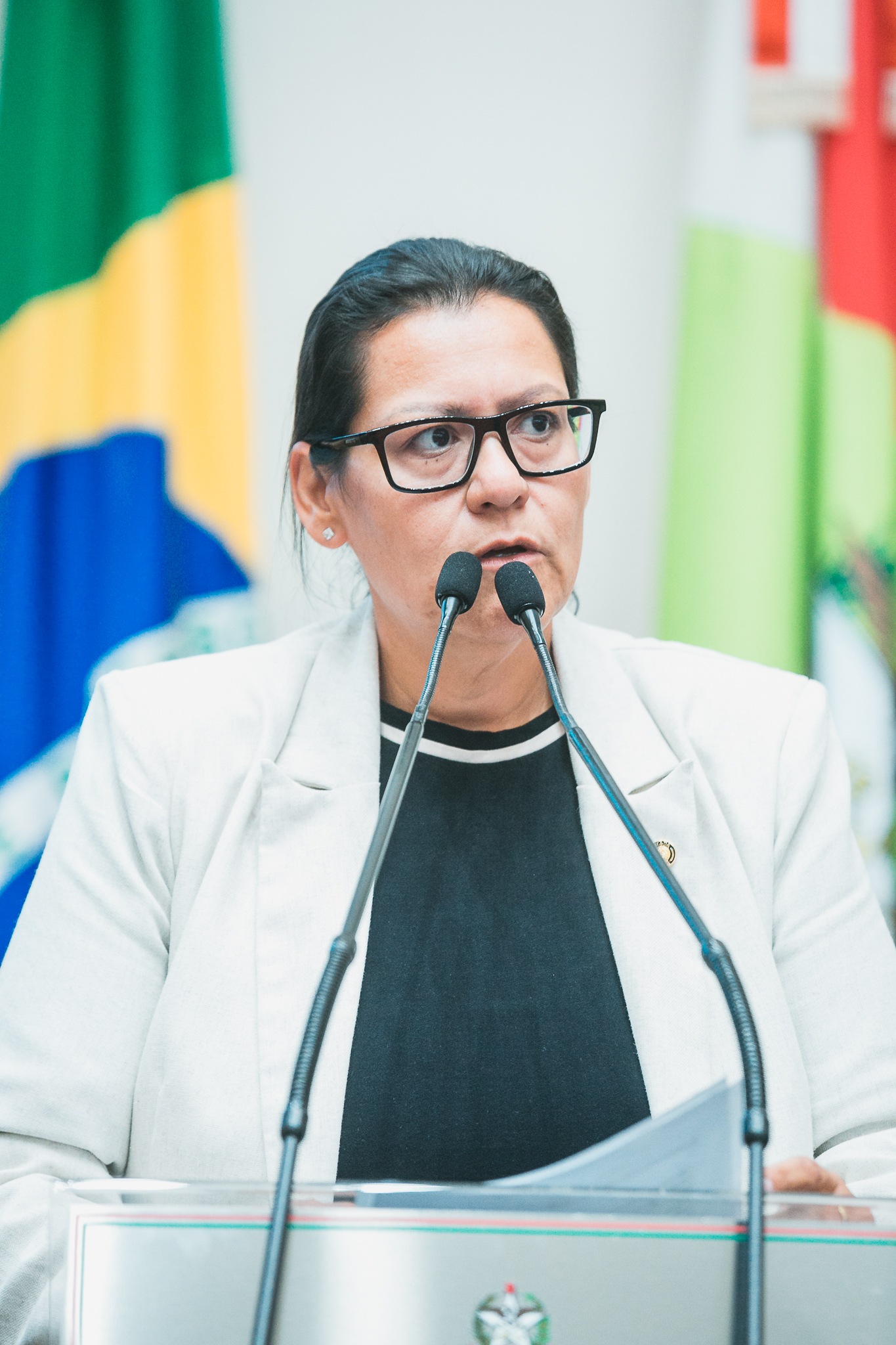 - Deputada Jana Guedes (PDT)