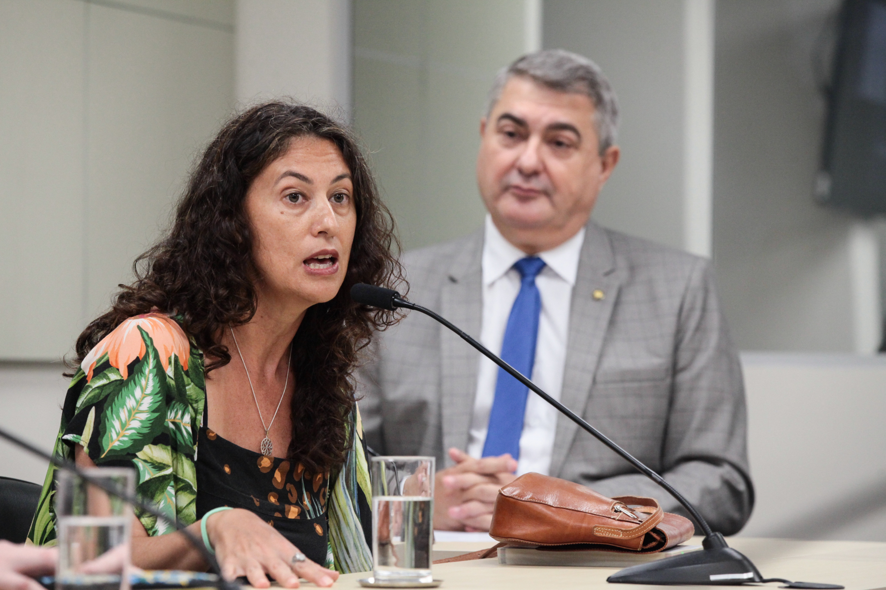 - Deputado Antídio Lunelli (MDB)