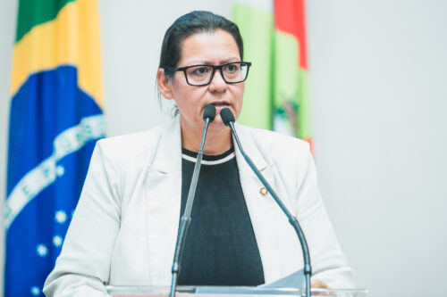 Deputados falam sobre combate à obesidade e viagem aos Emirados Árabes