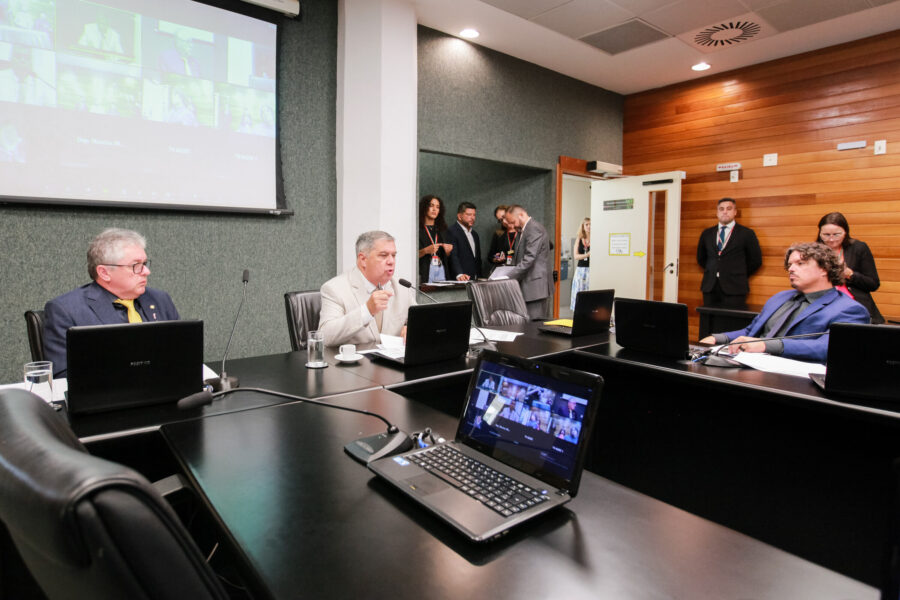 A Comissão de Direitos do Consumidor e do Contribuinte e de Legislação Participativa é presidida pelo deputado  Mário Motta.