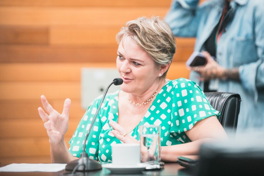 Deputada Luciane Carminatti