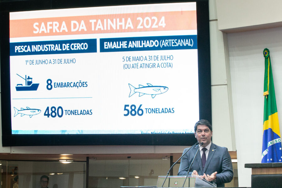 Restrição à pesca da tainha e declaração do governador repercutem em Sessão