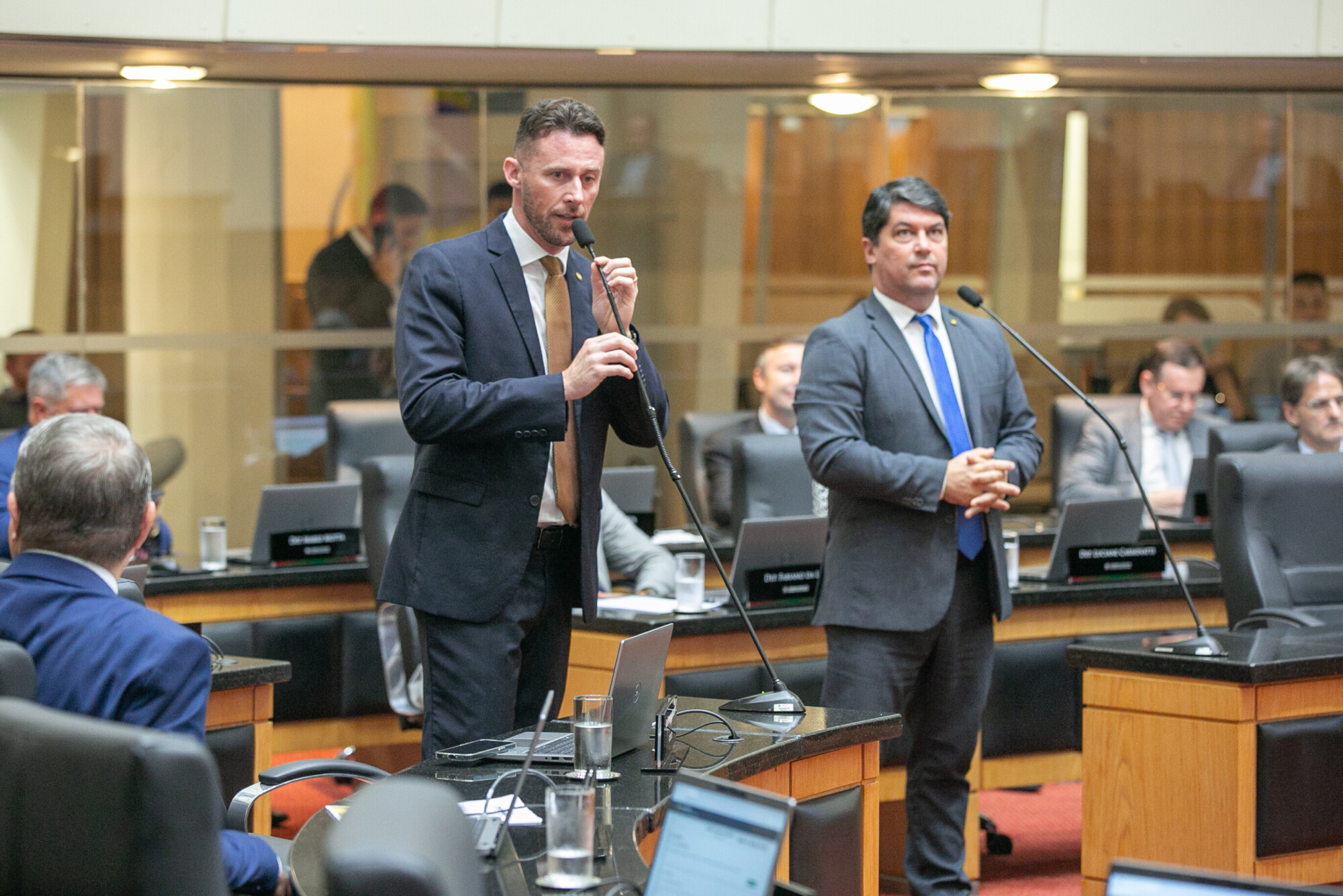 - Deputado Fernando Krelling (MDB) 	
 - Deputado Emerson Stein (MDB)