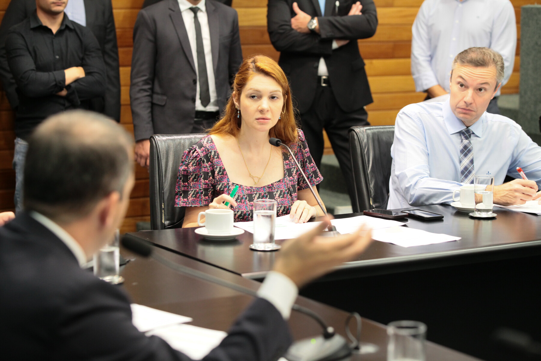 - Deputada Ana Campagnolo (PL) - Deputado Napoleão Bernardes (PSD)