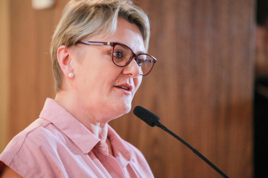 Deputada Luciane Carminatti