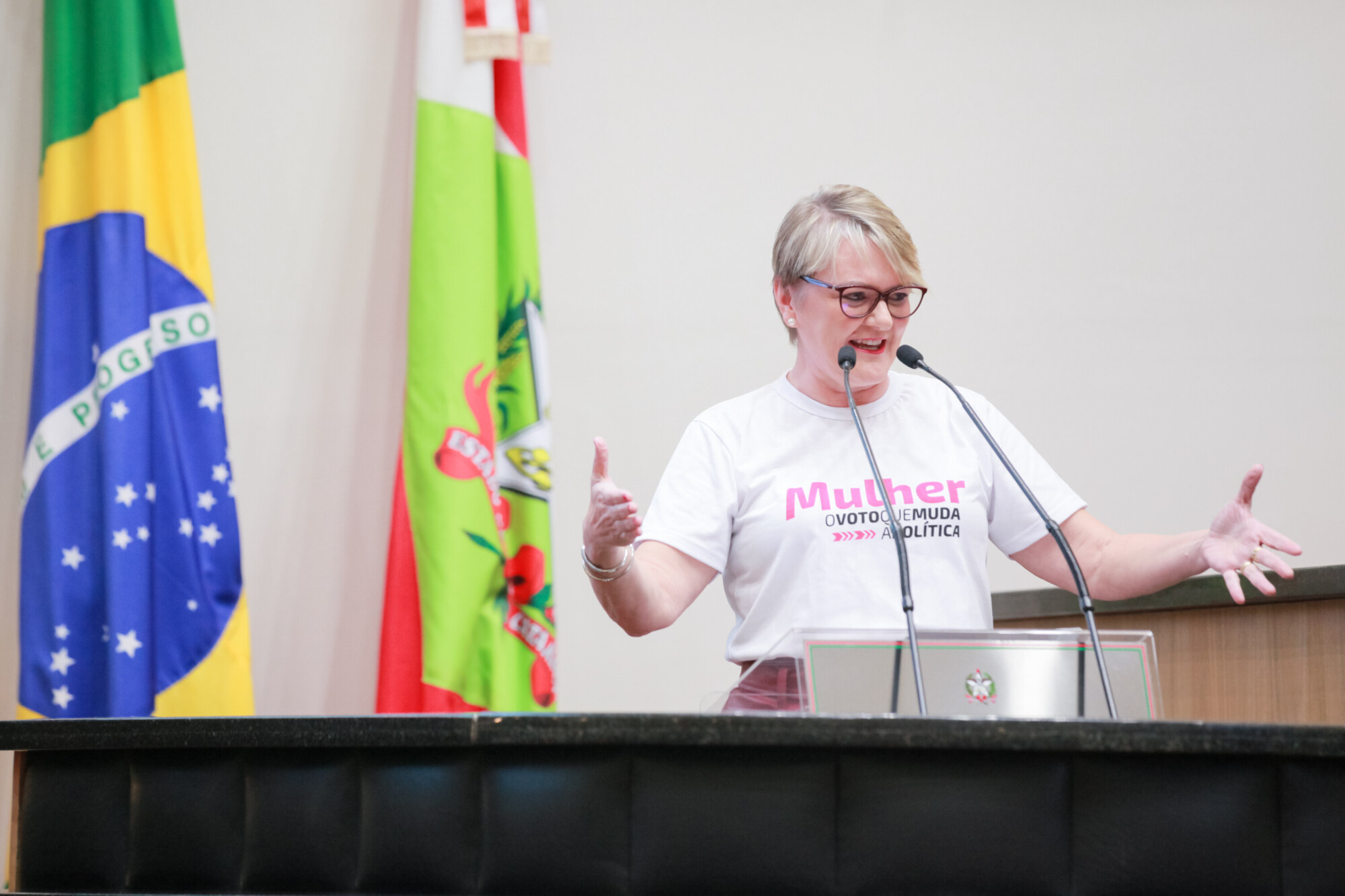 - Deputada Luciane Carminatti (PT)