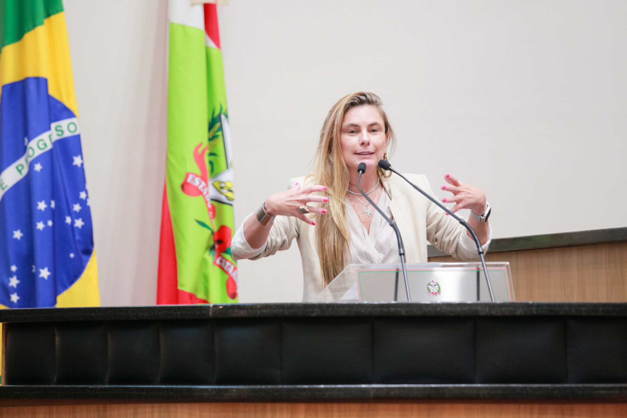 - Deputada Paulinha (Podemos)