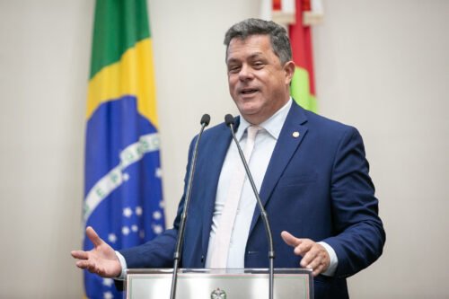 Naatz destaca importância do debate sobre internação involuntária de dependentes químicos