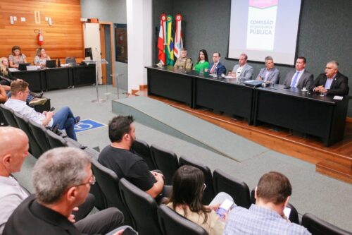 Audiência pública debate abordagem policial