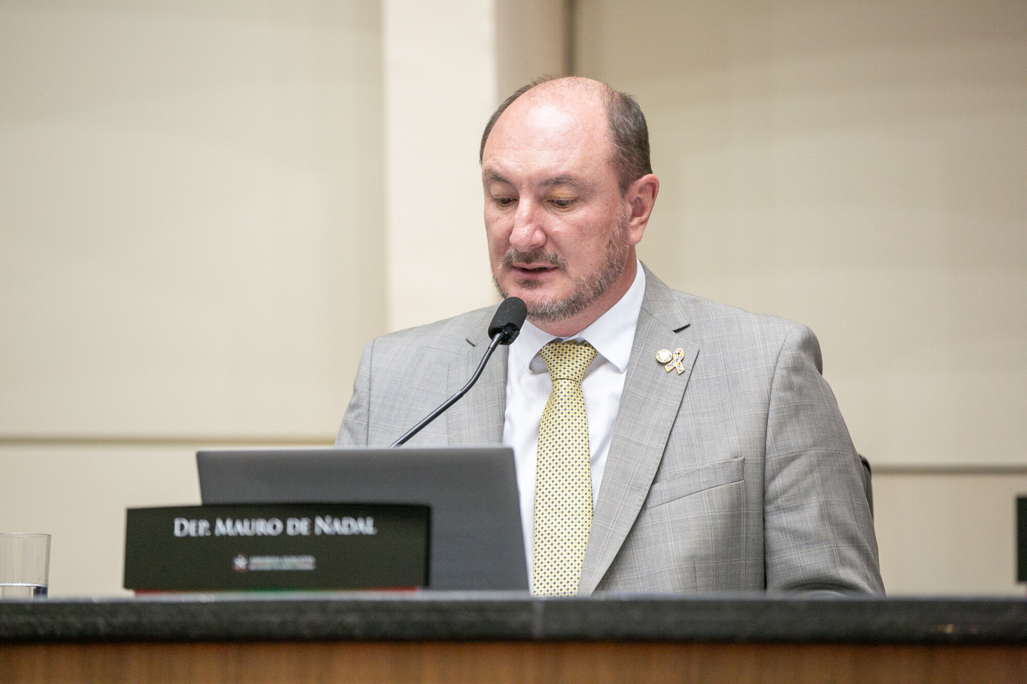- Deputado Mauro de Nadal (MDB)