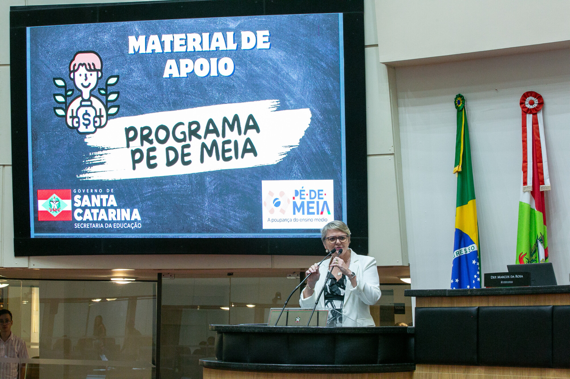 - Deputada Luciane Carminatti (PT)