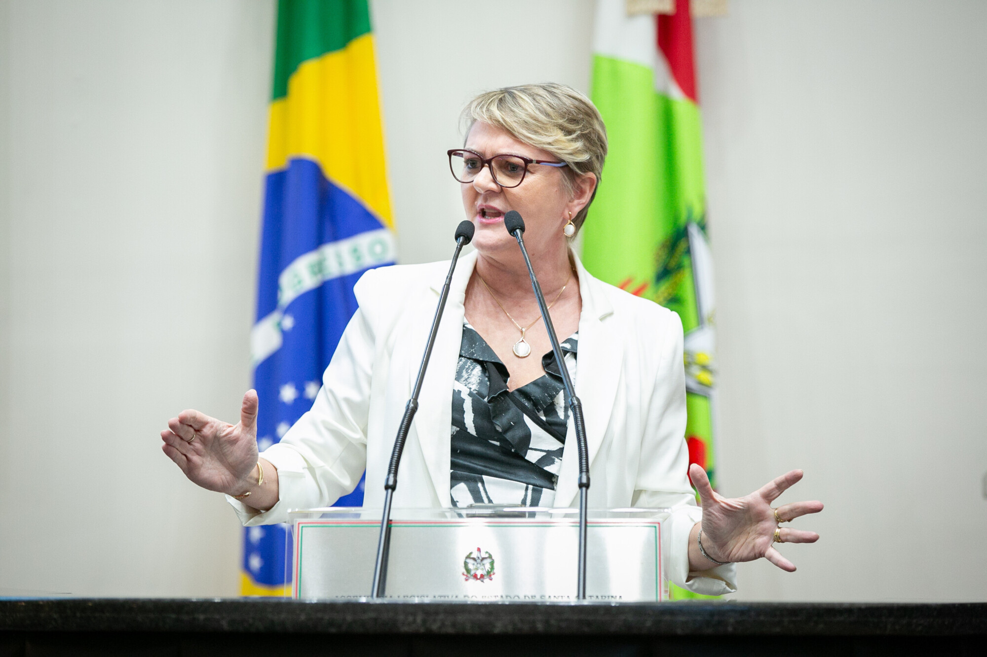 - Deputada Luciane Carminatti (PT)