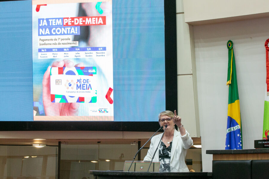 A deputada Luciane Carminatti (PT), durante a sessão ordinária desta quarta-feira (3)