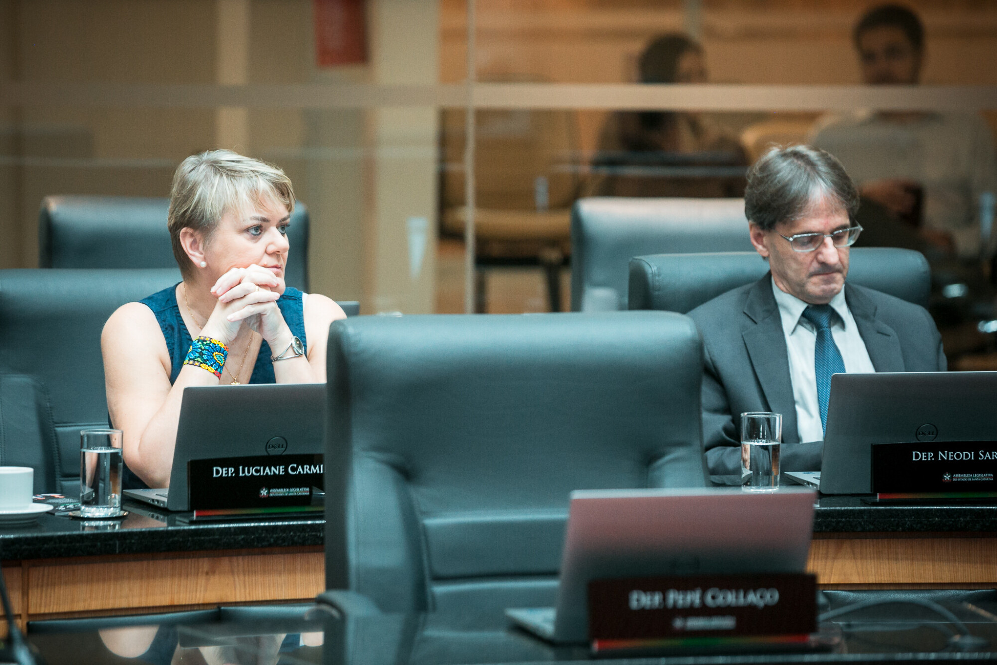 - Deputada Luciane Carminatti (PT) 	 - Deputado Neodi Saretta (PT)