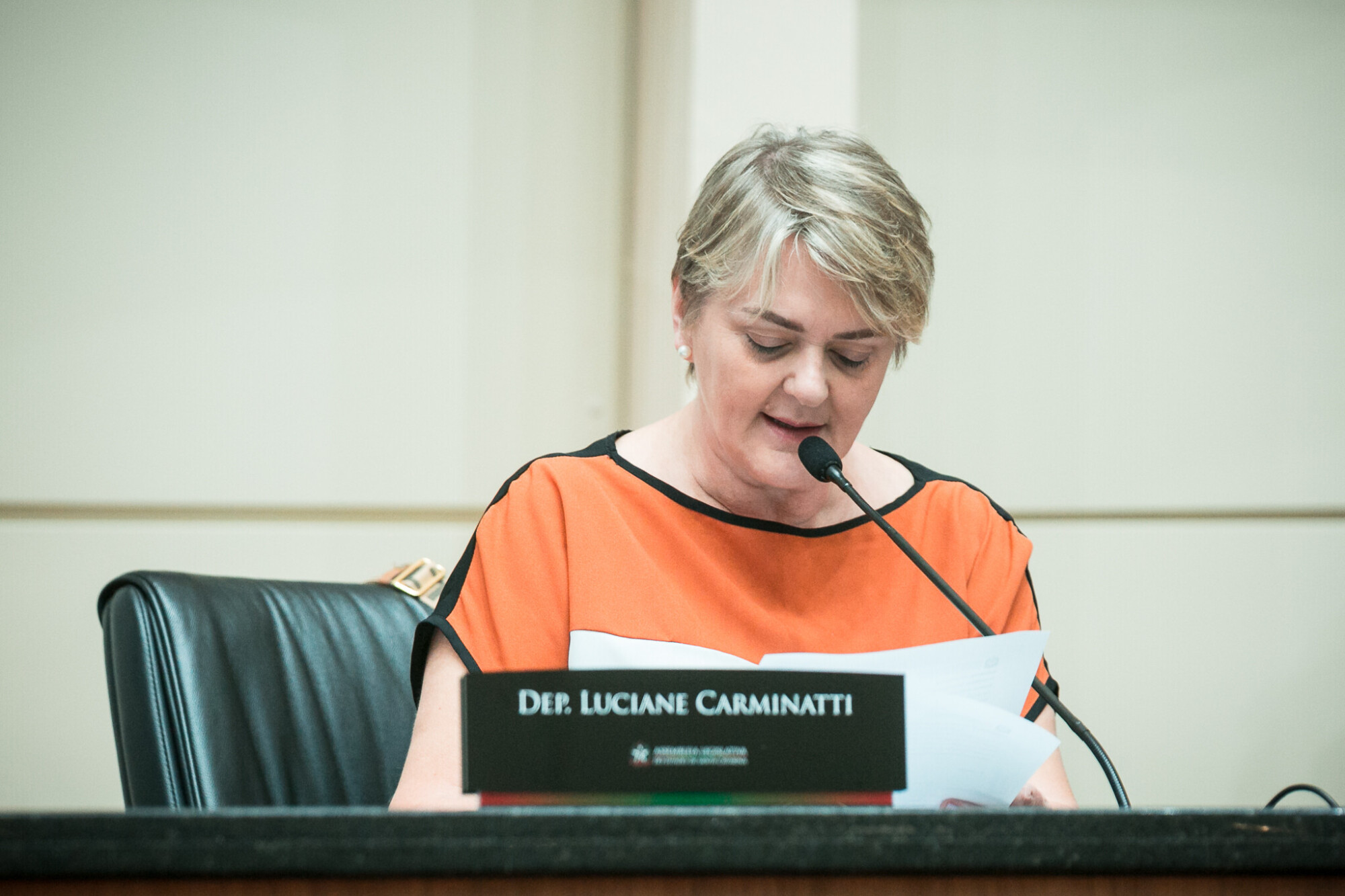 - Deputada Luciane Carminatti (PT)