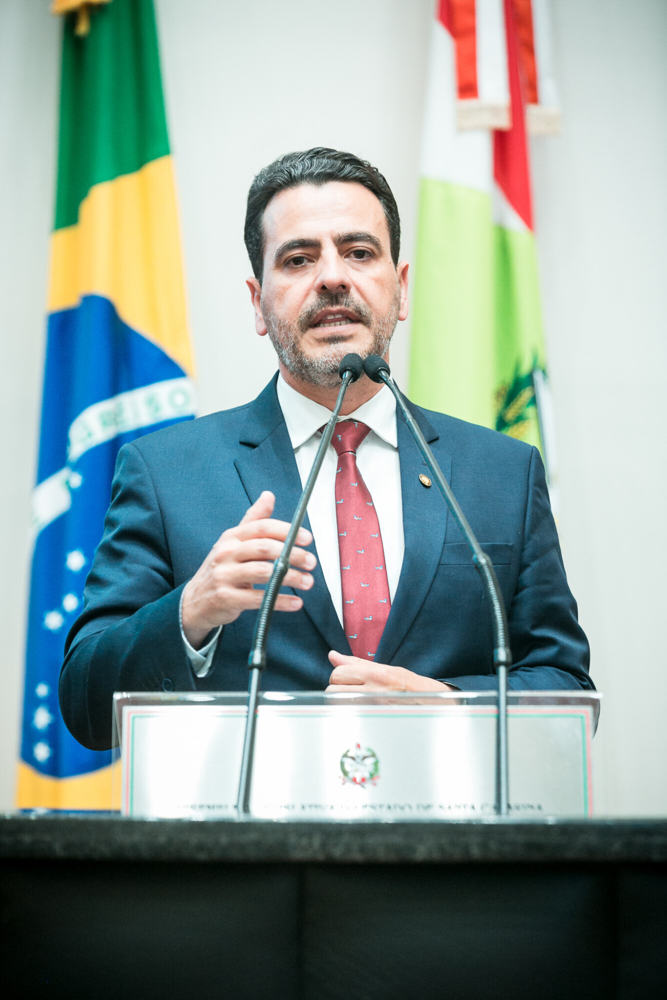 - Deputado Soratto (PL)